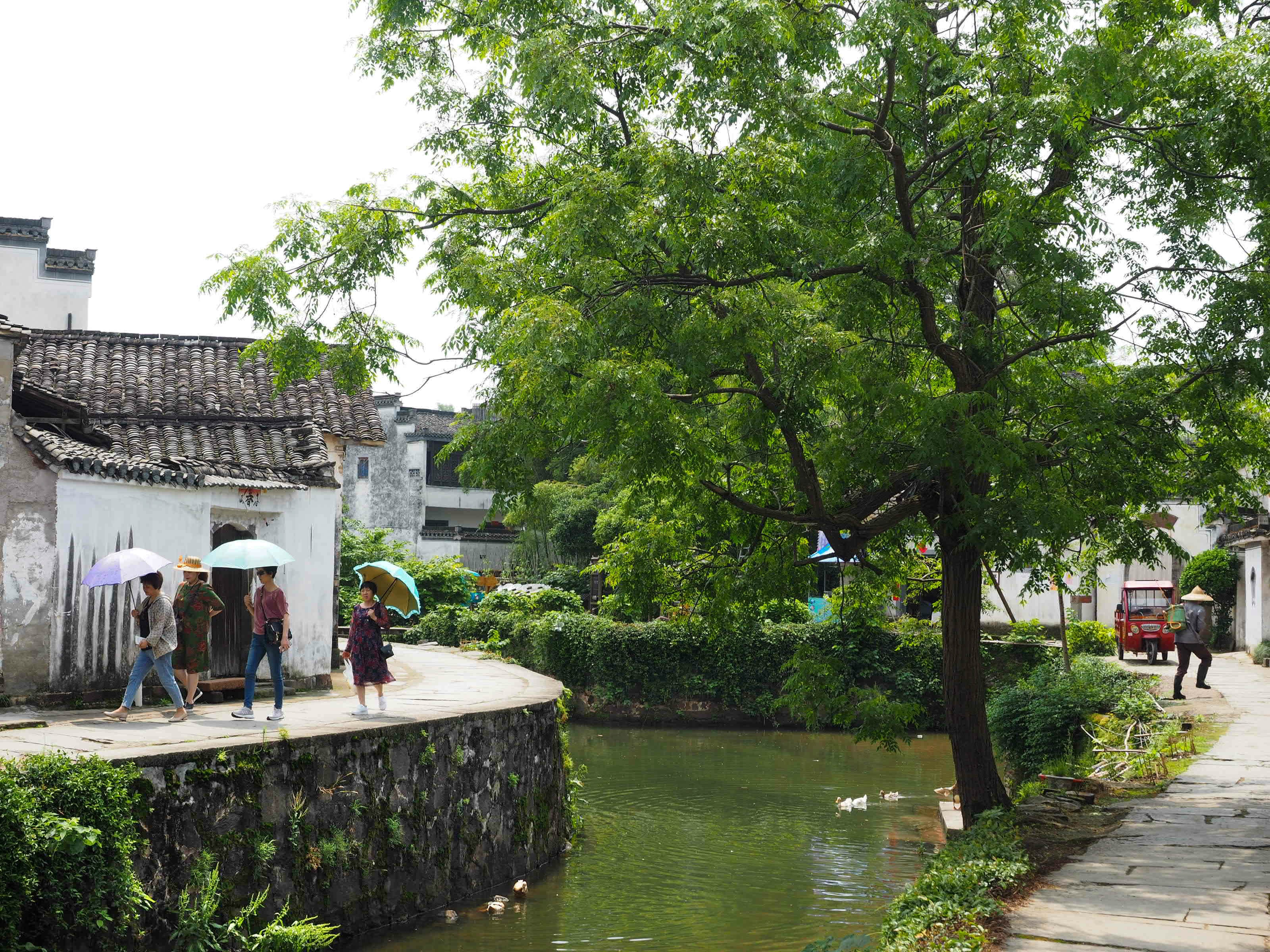 看高山流水,看花开灿烂,看生活顿挫——2018旅游记