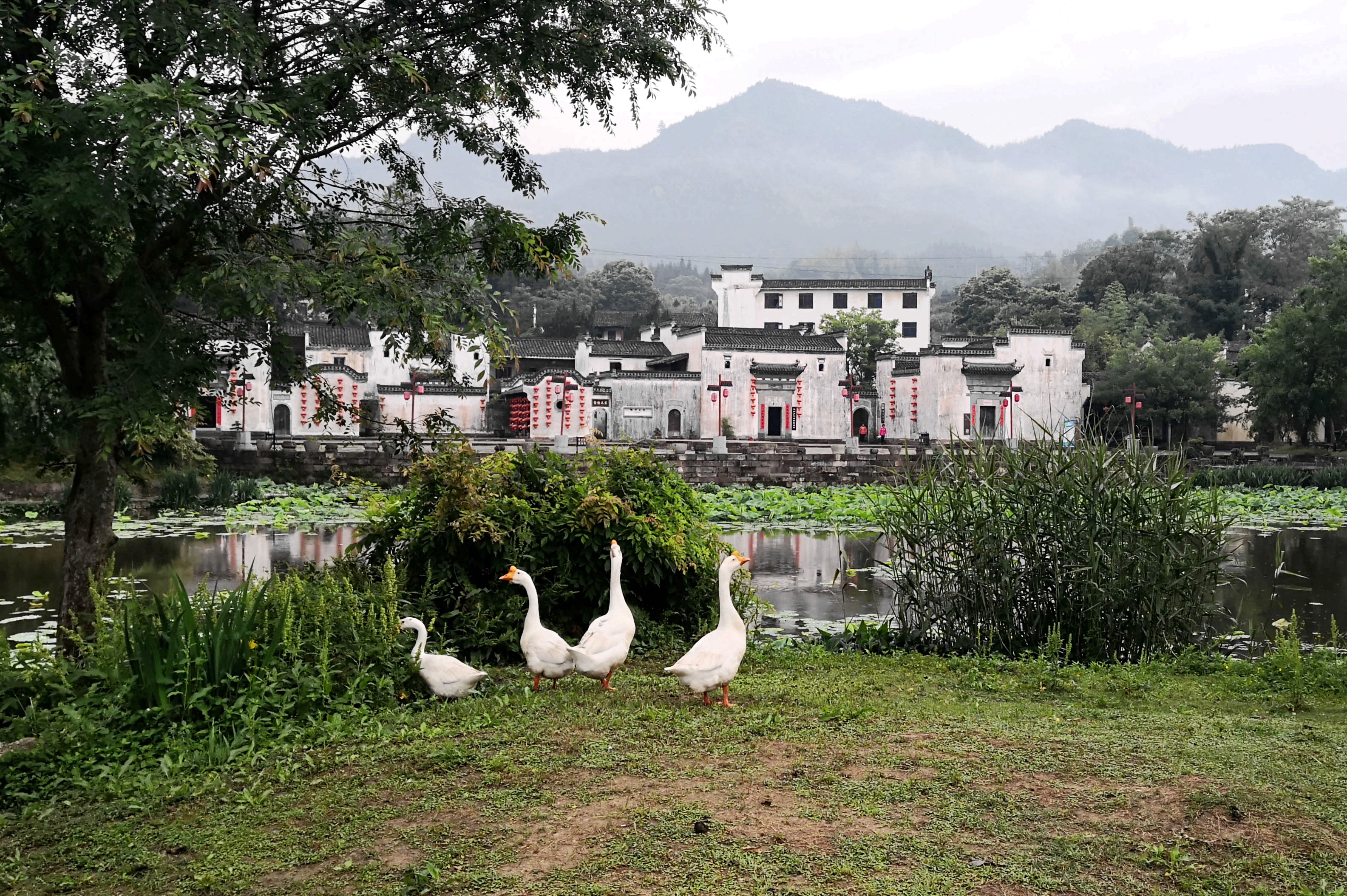 看高山流水,看花开灿烂,看生活顿挫——2018旅游记
