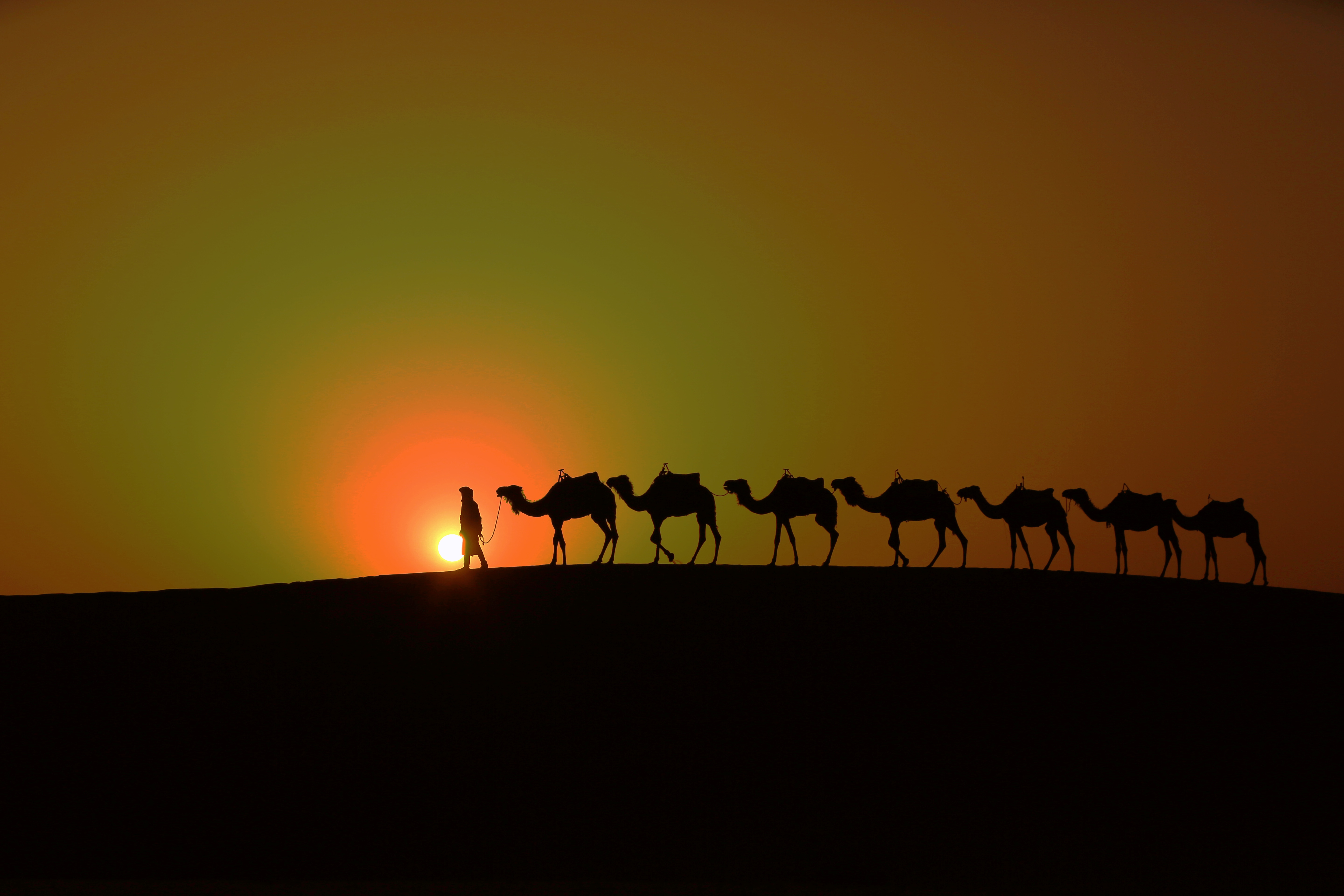 摩洛哥 المملكة المغربية