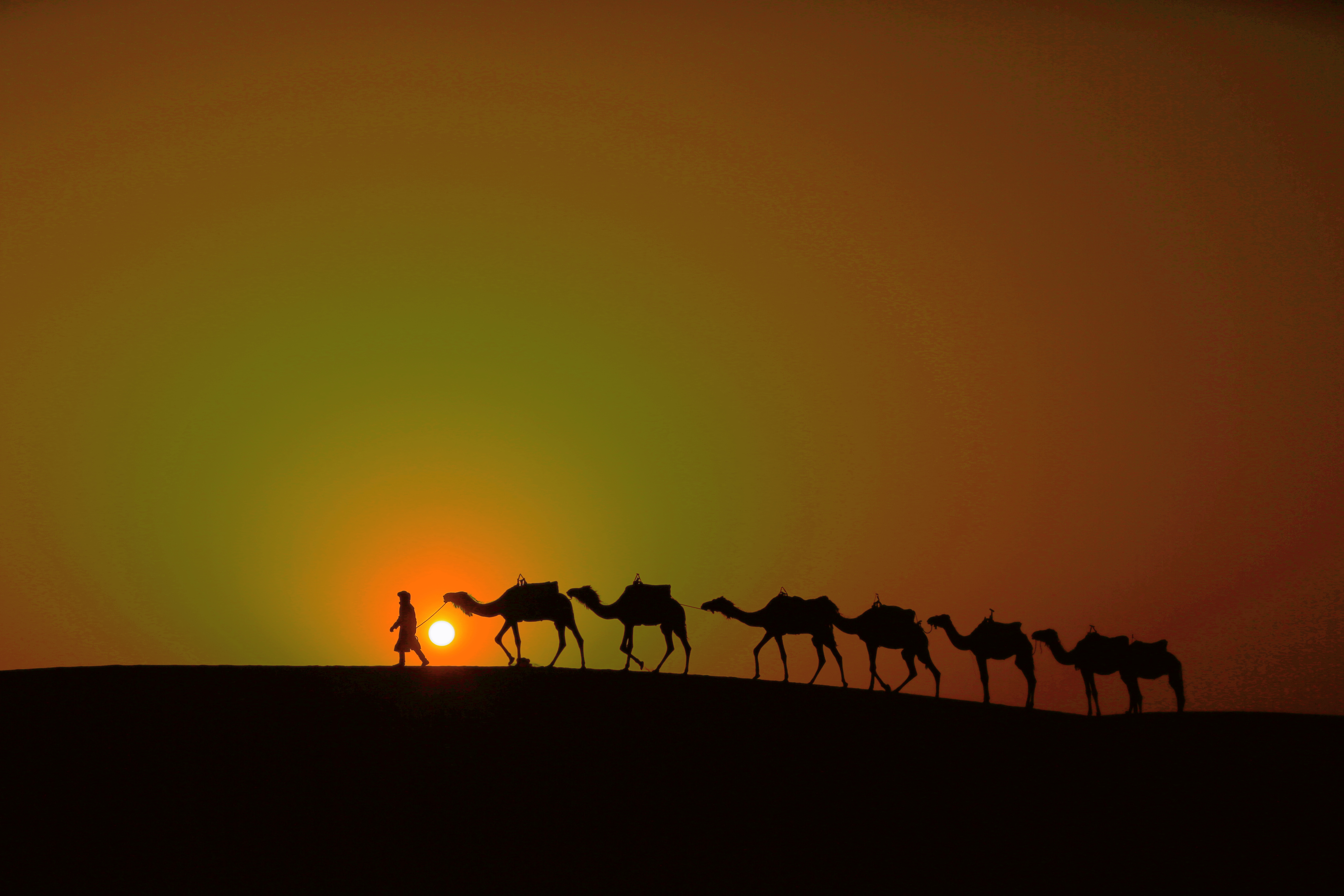 摩洛哥 المملكة المغربية