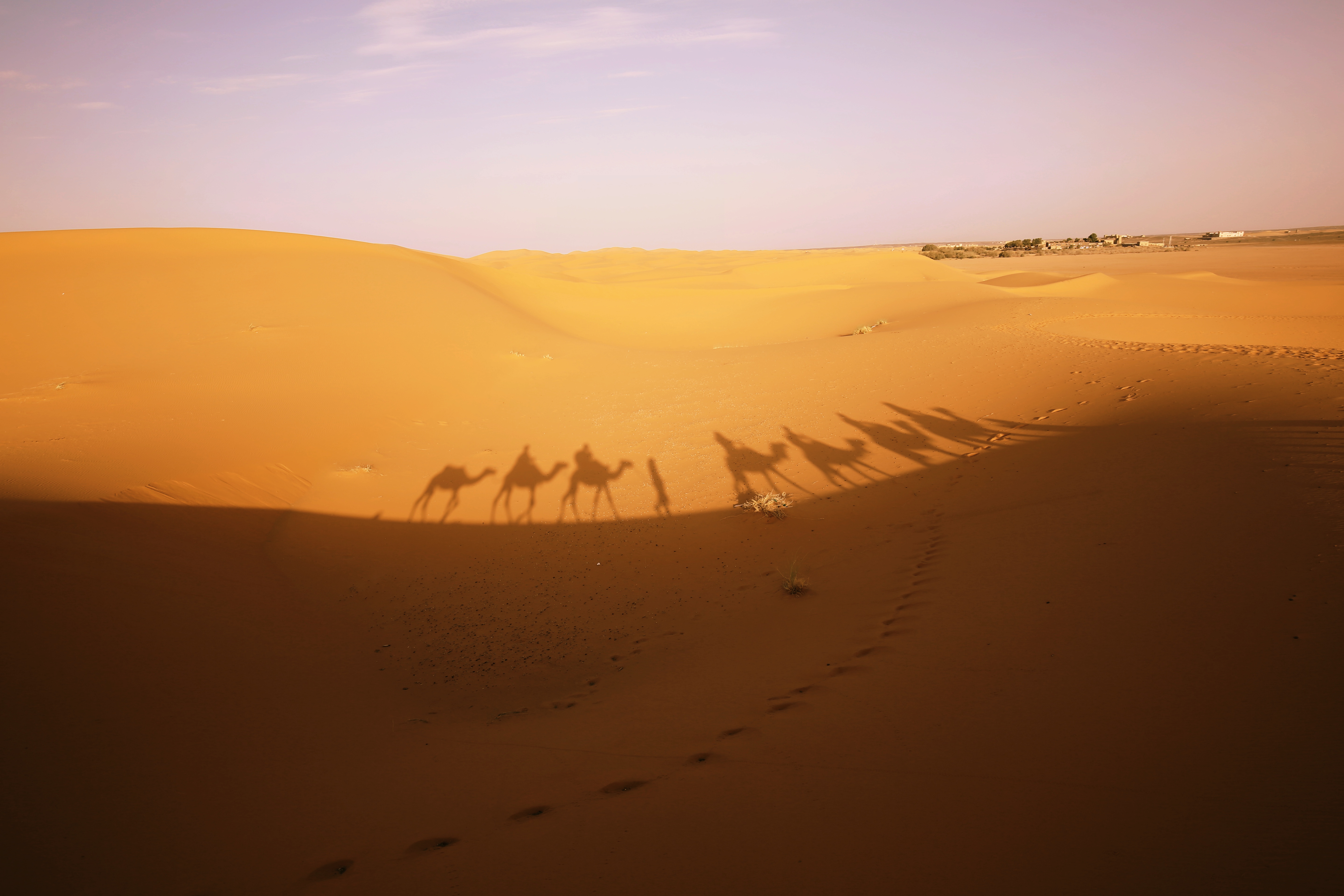 摩洛哥 المملكة المغربية