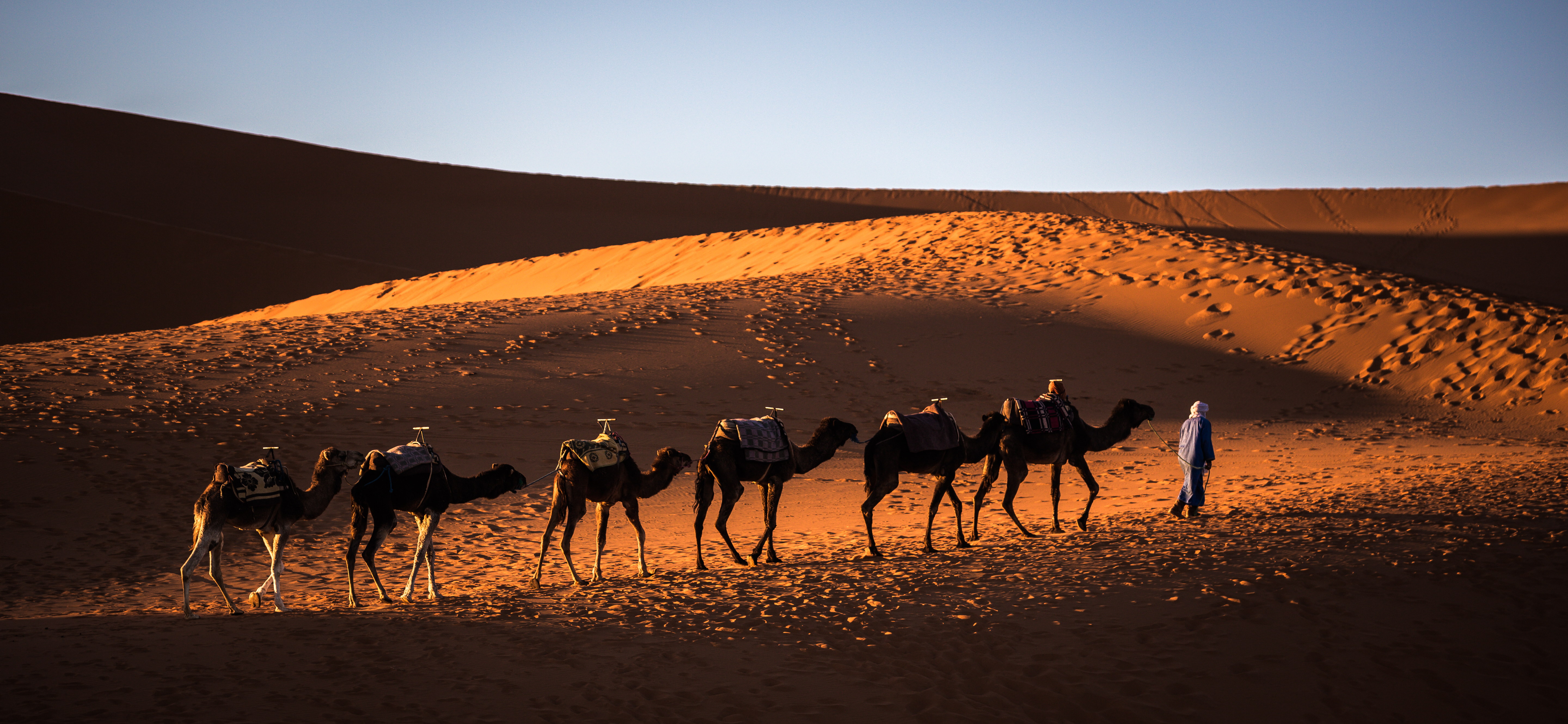 摩洛哥 المملكة المغربية