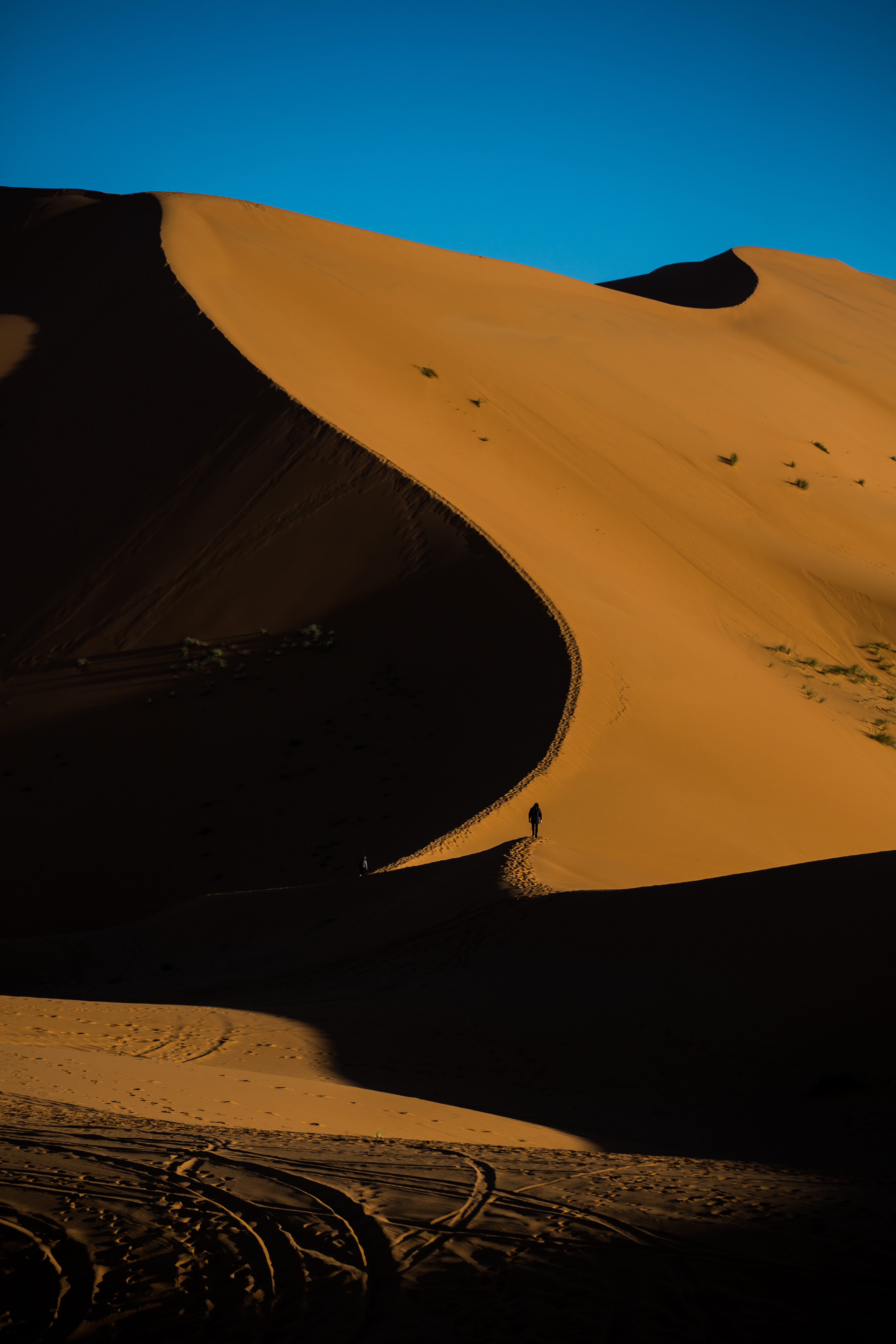 摩洛哥 المملكة المغربية