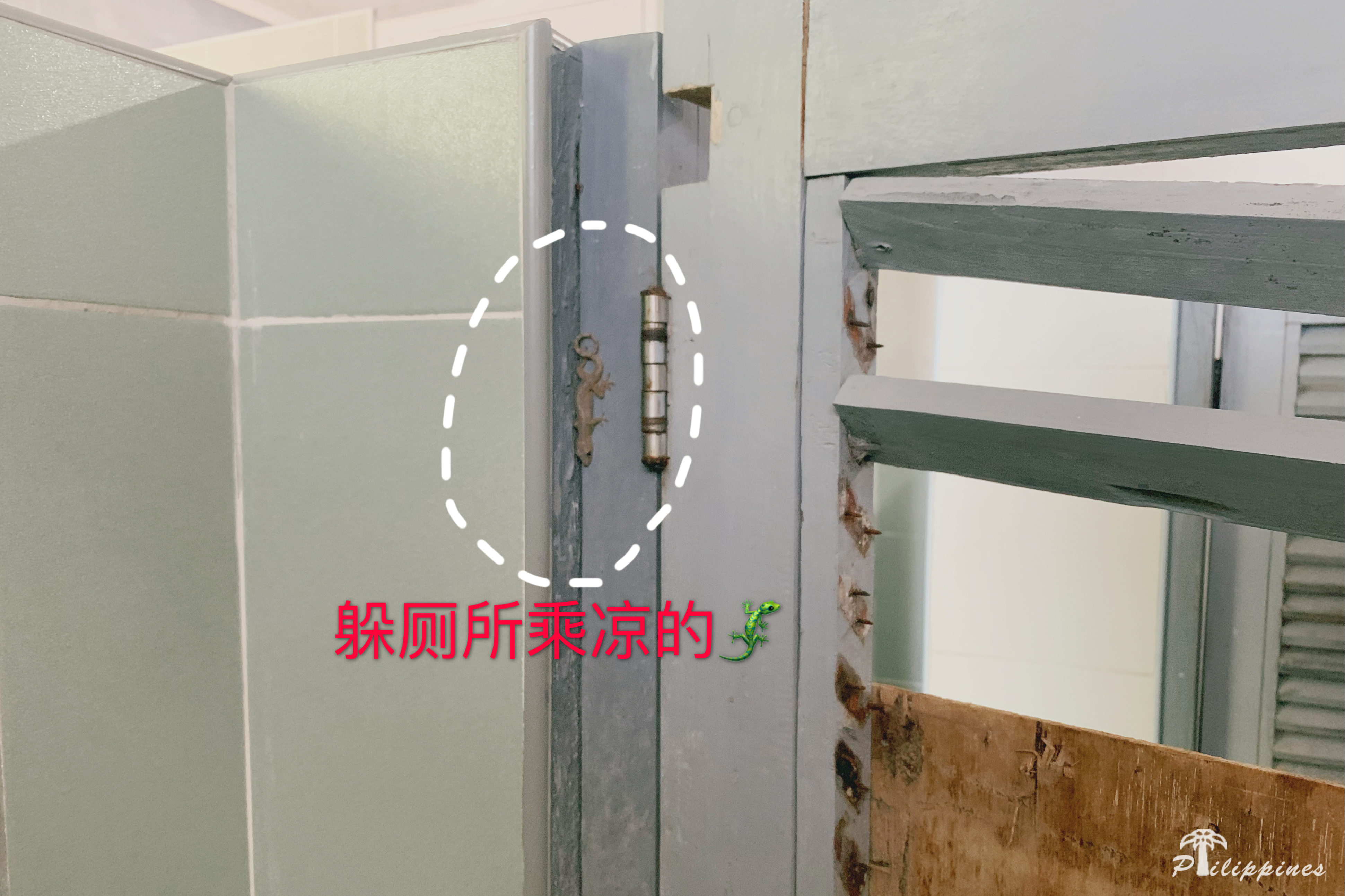 #2019春季花事# 除去花海,来菲律宾看大海也是一种享受