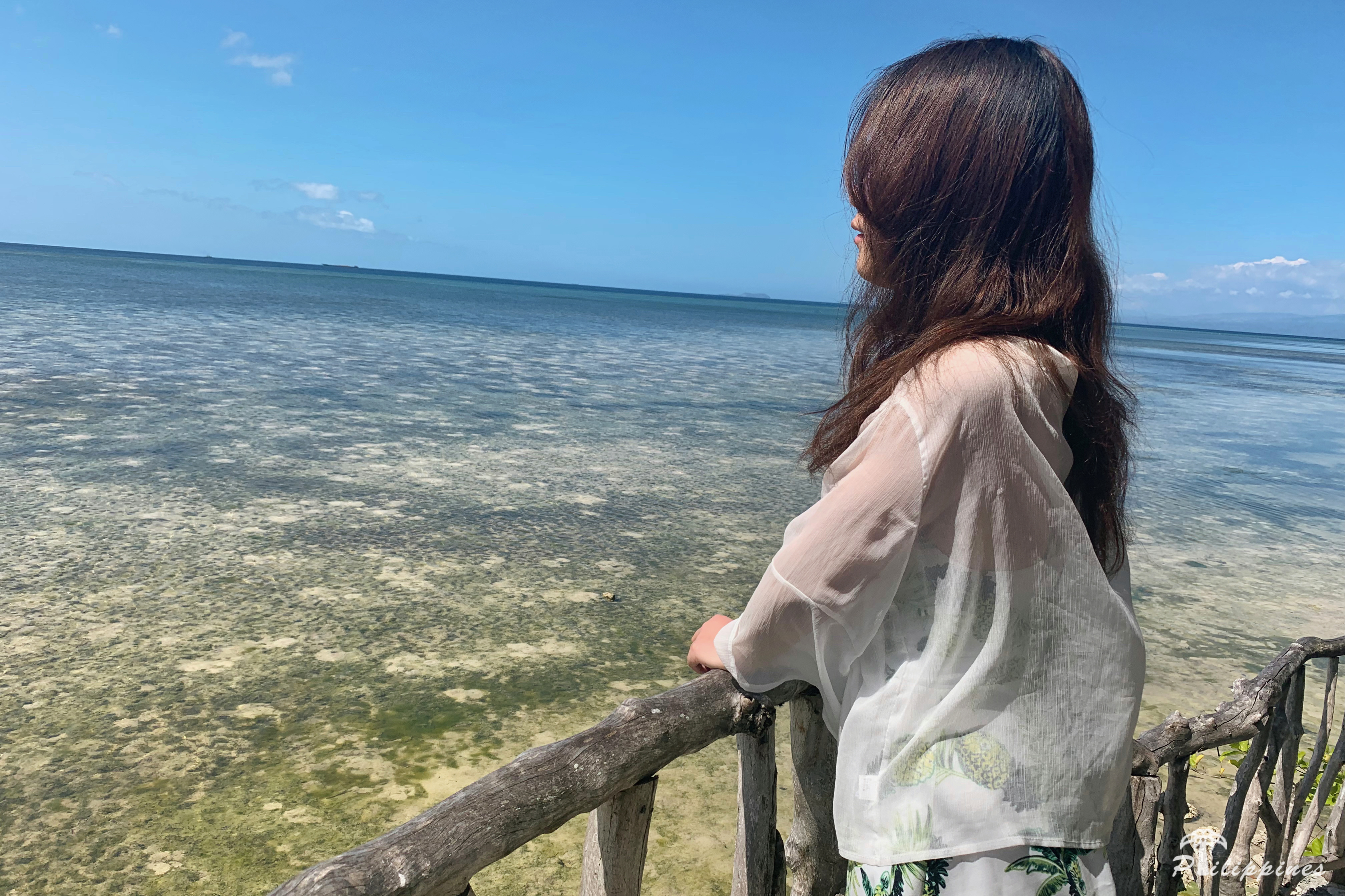 #2019春季花事# 除去花海,来菲律宾看大海也是一种享受