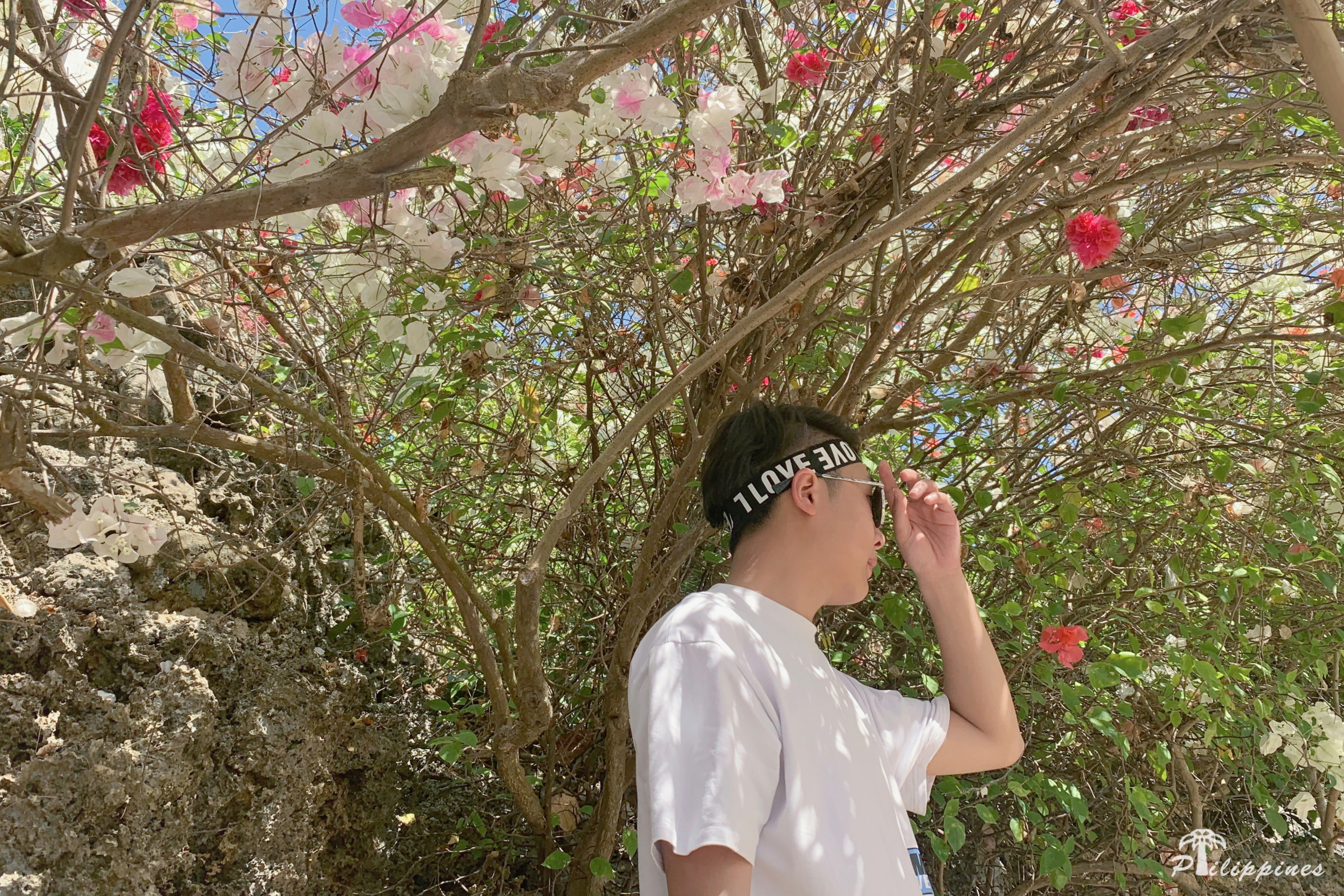 #2019春季花事# 除去花海,来菲律宾看大海也是一种享受