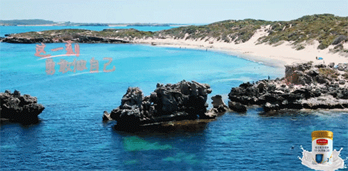#2019春季花事# 女神章子怡都高呼刺激!《老婆的浪漫旅游》最新目的地也太美了,看过的人都心动了!