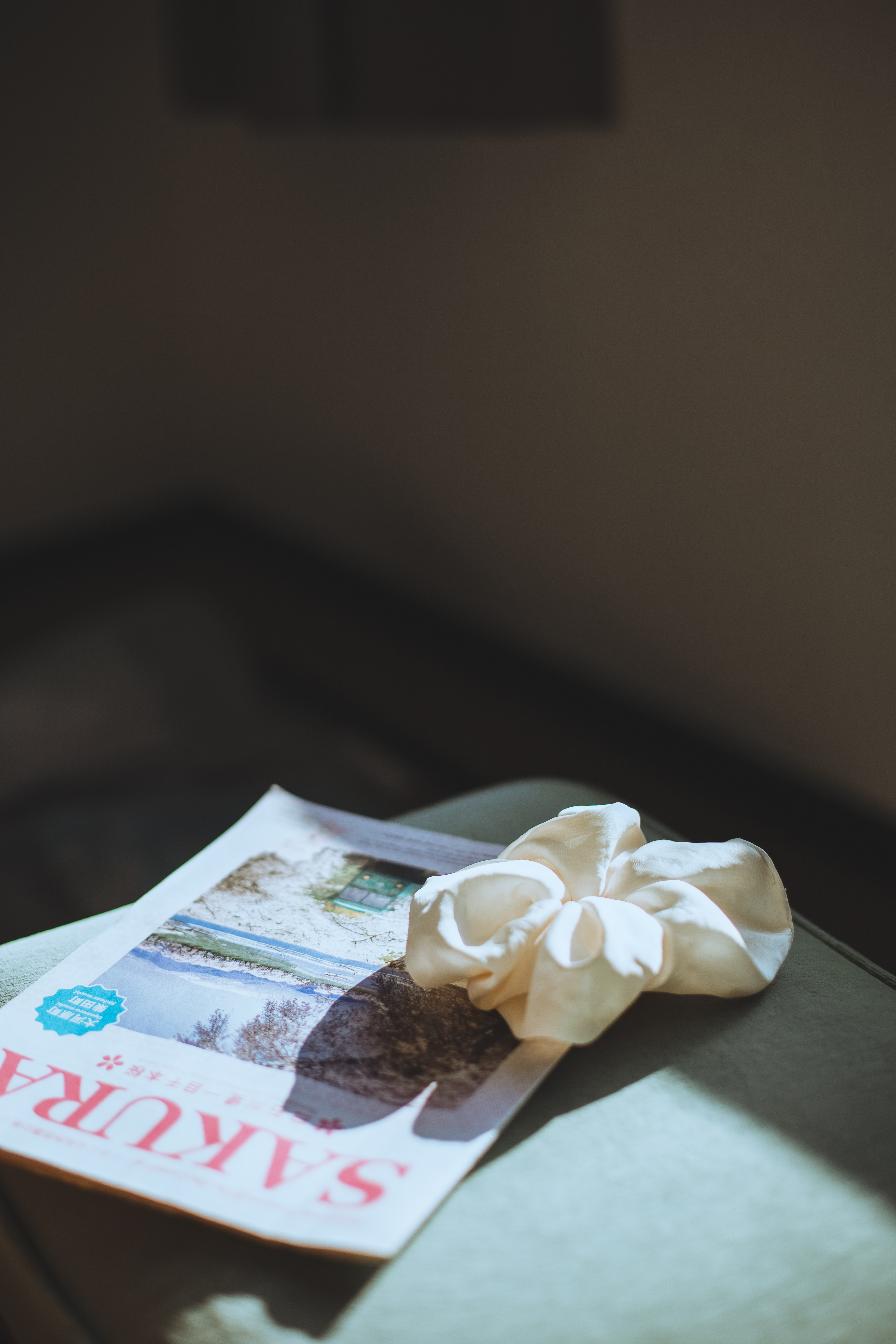 #2019春季花事# 平成最后的光年,赴一场樱花与海的约会