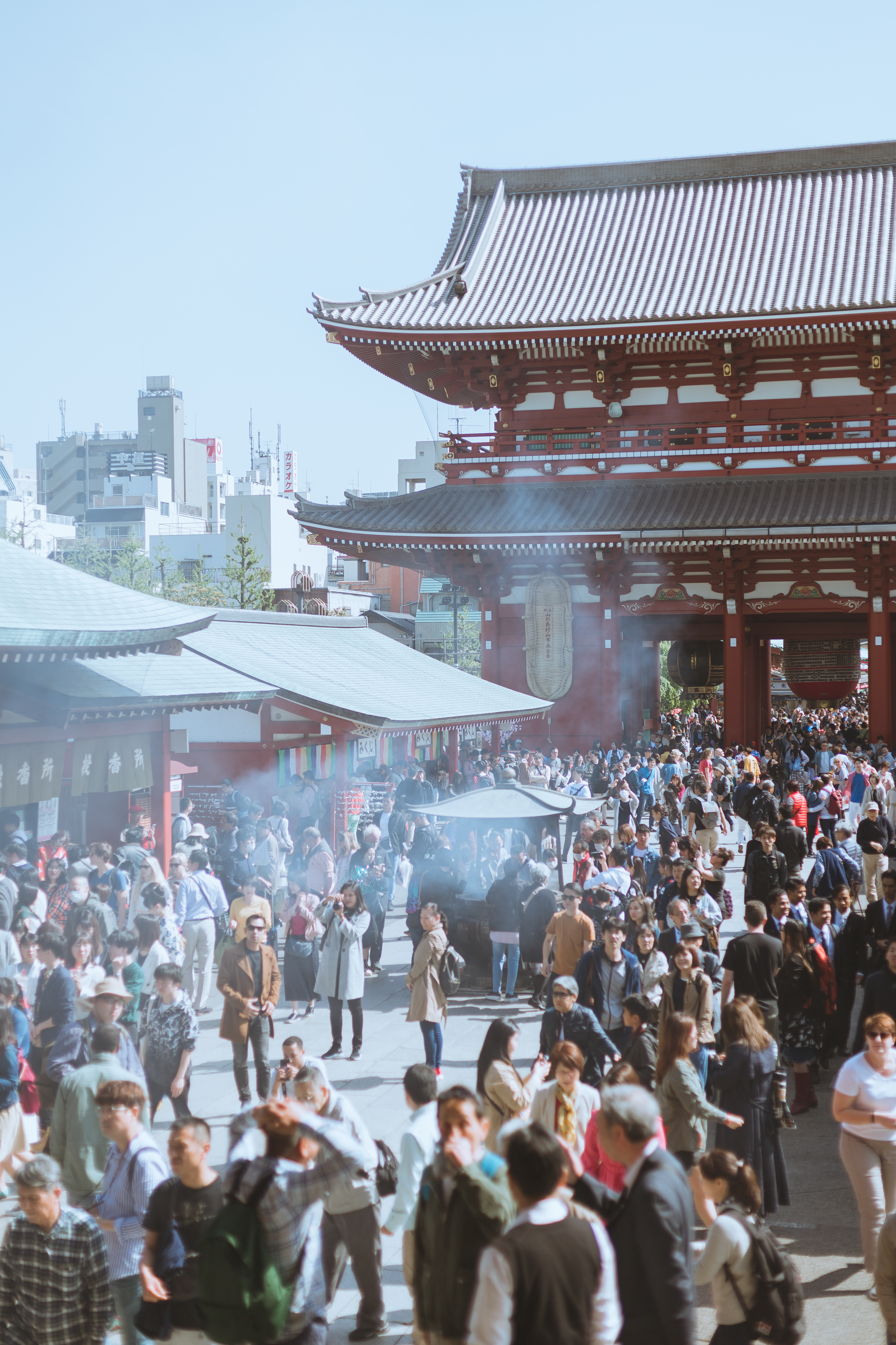 #2019春季花事# 平成最后的光年,赴一场樱花与海的约会