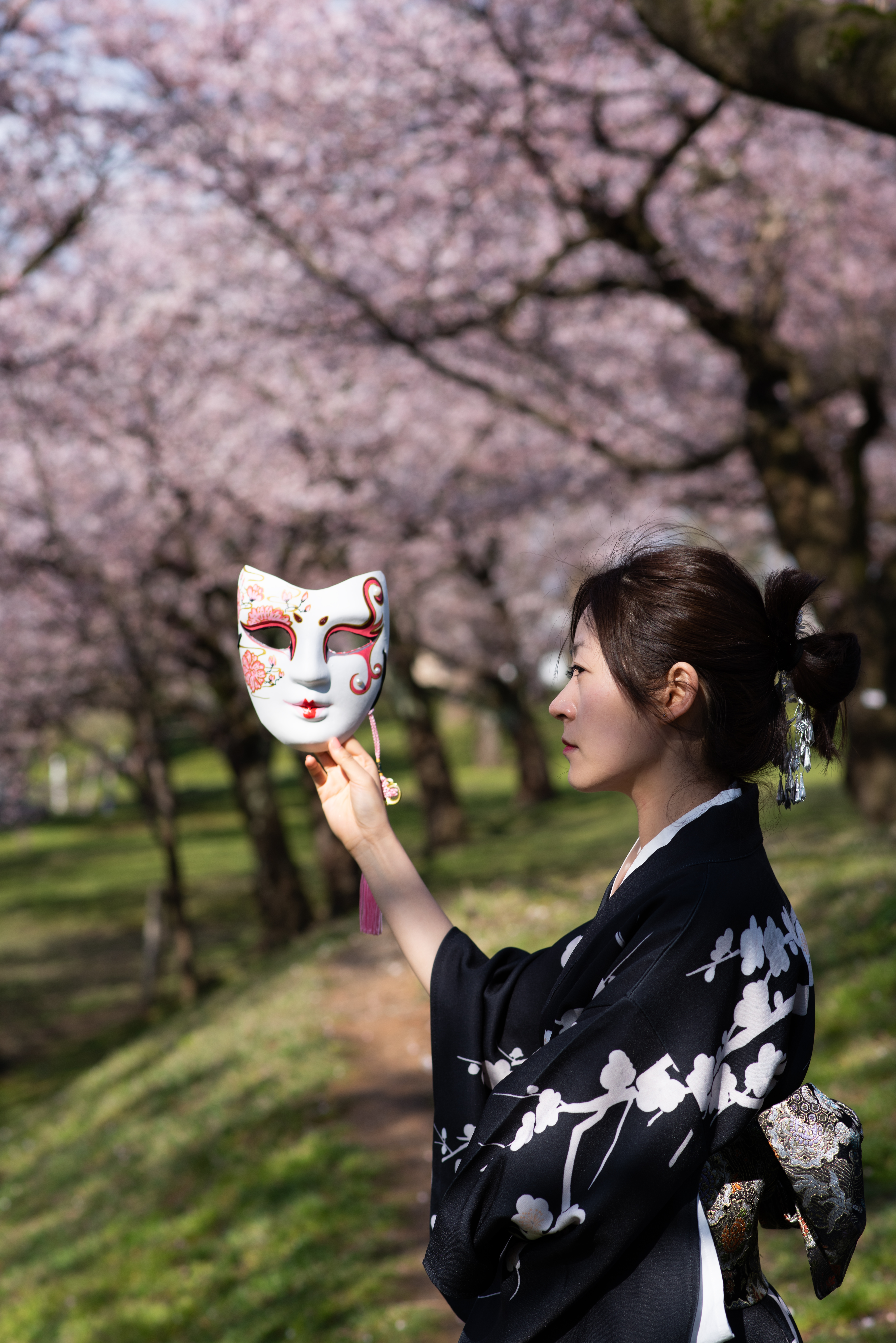 #2019春季花事# 平成最后的光年,赴一场樱花与海的约会