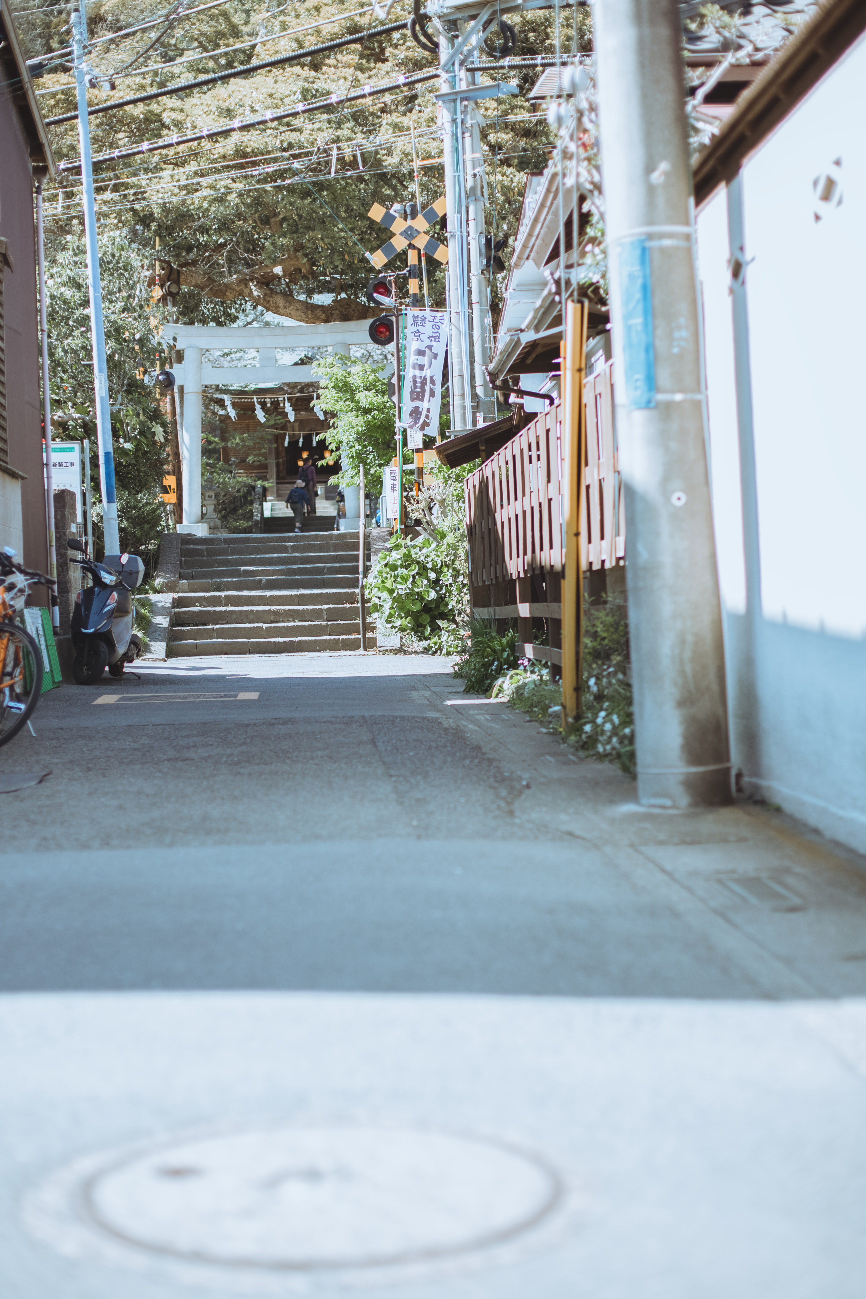 #2019春季花事# 平成最后的光年,赴一场樱花与海的约会