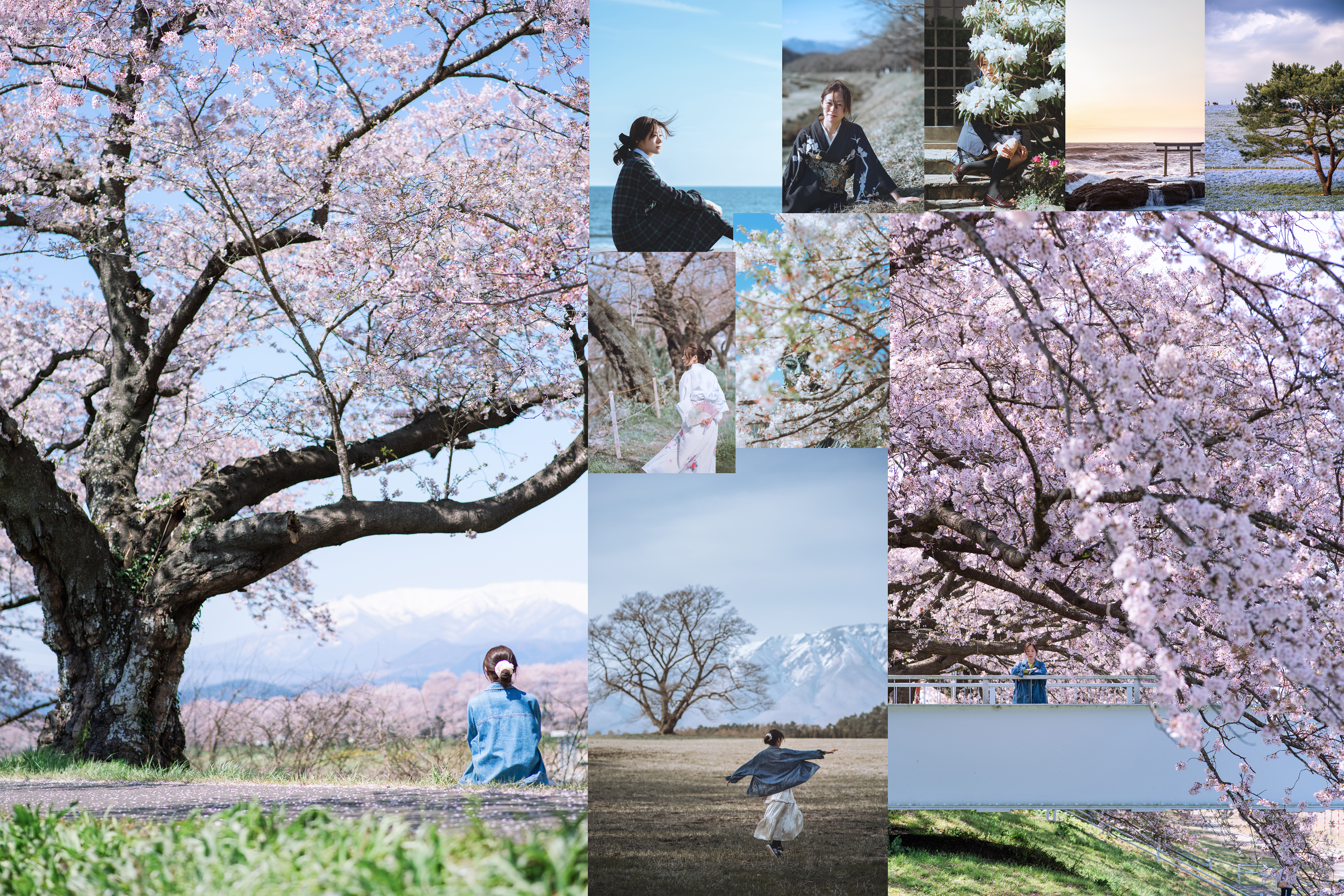 19春天花事 平成最后的光年 赴一场樱花与海的约会 日本旅游攻略 游侠客社区