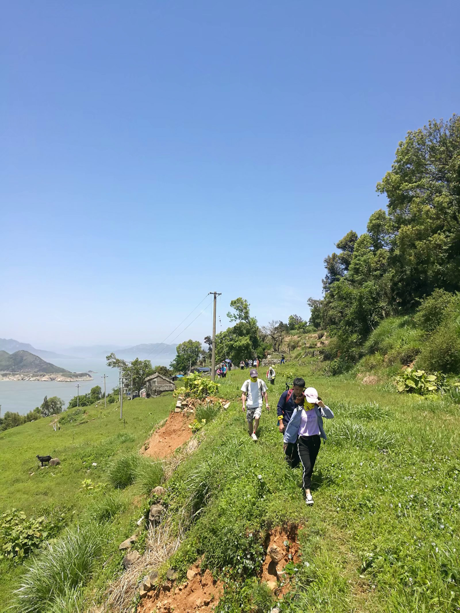 2019春天花事 徒步中国最美十大海岛—大嵛山岛,体验在山海间的