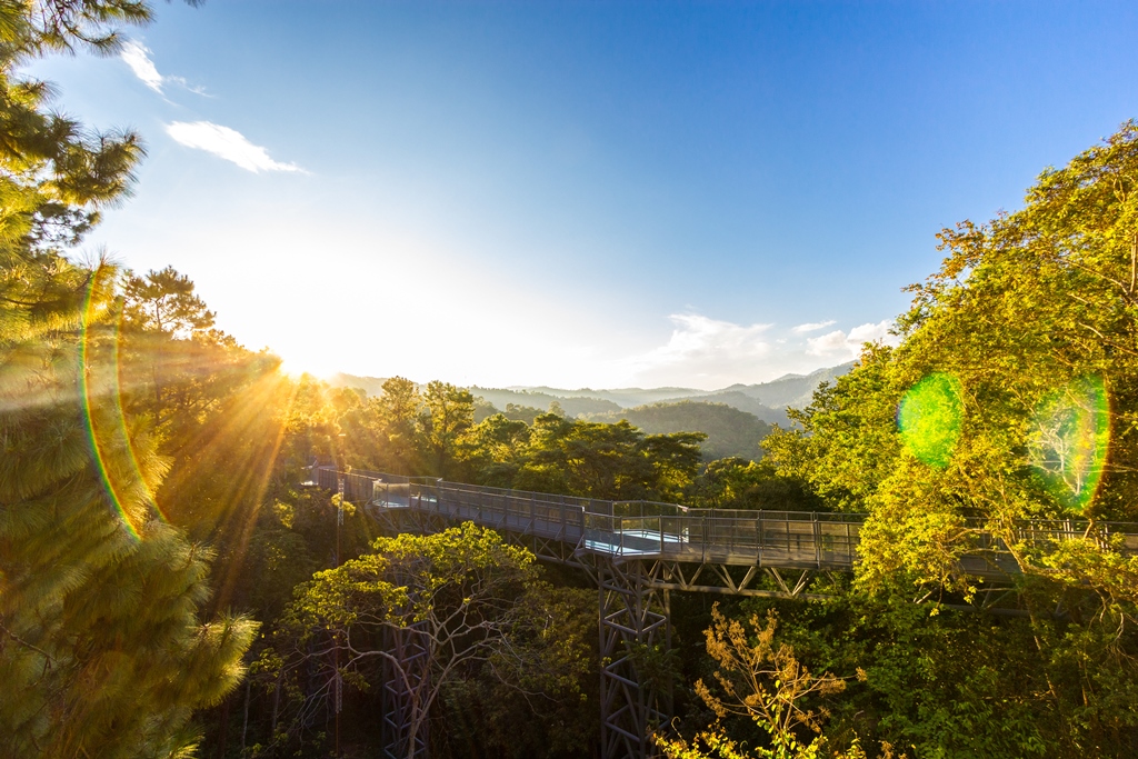 #2019春季花事# 13岁染发化妆做指甲,她爸黄磊都支持,而你还让孩子疯狂上补习班?是时候学学明星的养娃方法了!