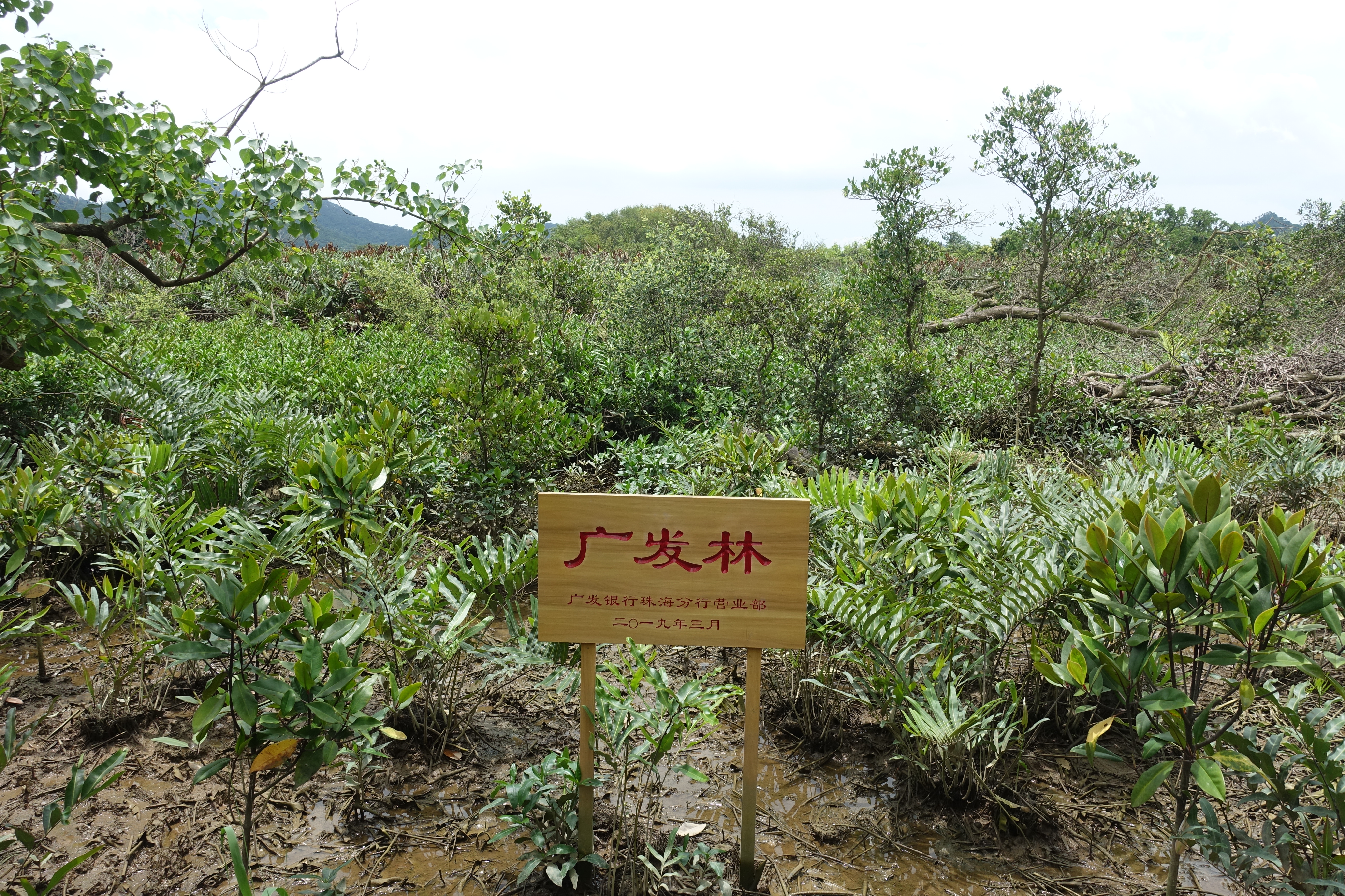 淇澳公园 淇澳家园