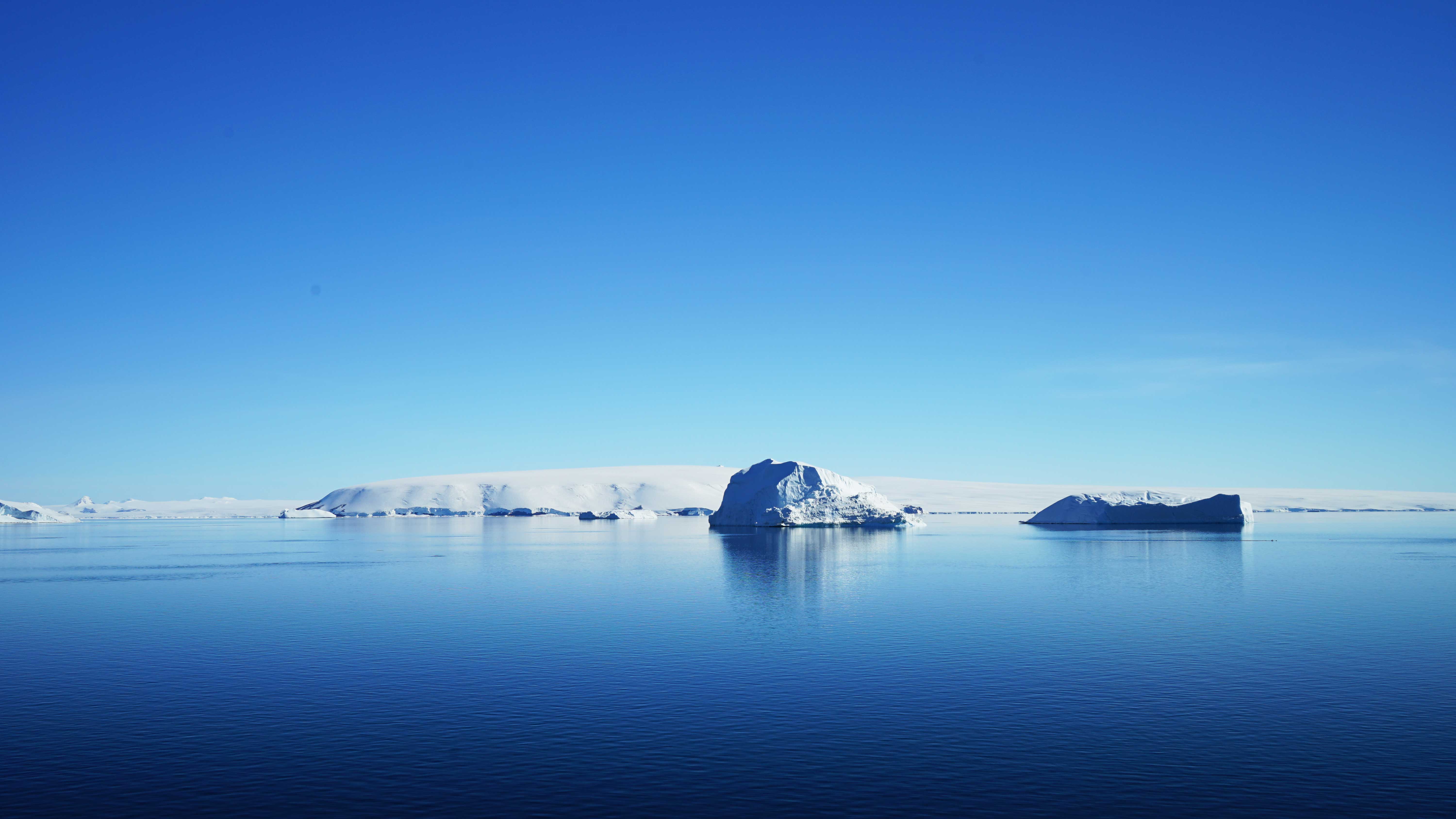 在南极看企鹅是一种什么样的体验,南极洲旅游攻略