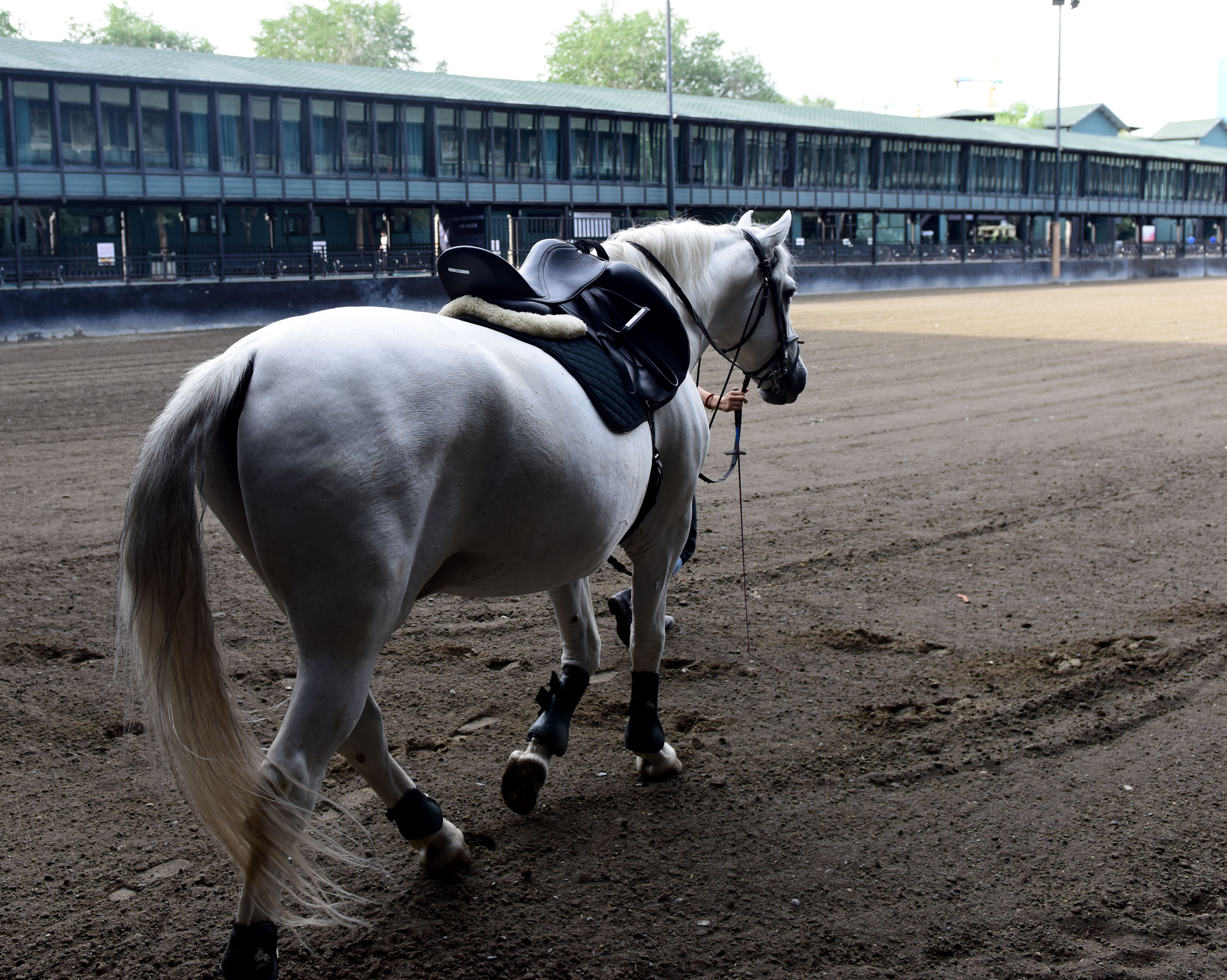 新疆行,新疆旅游攻略-游侠客社区