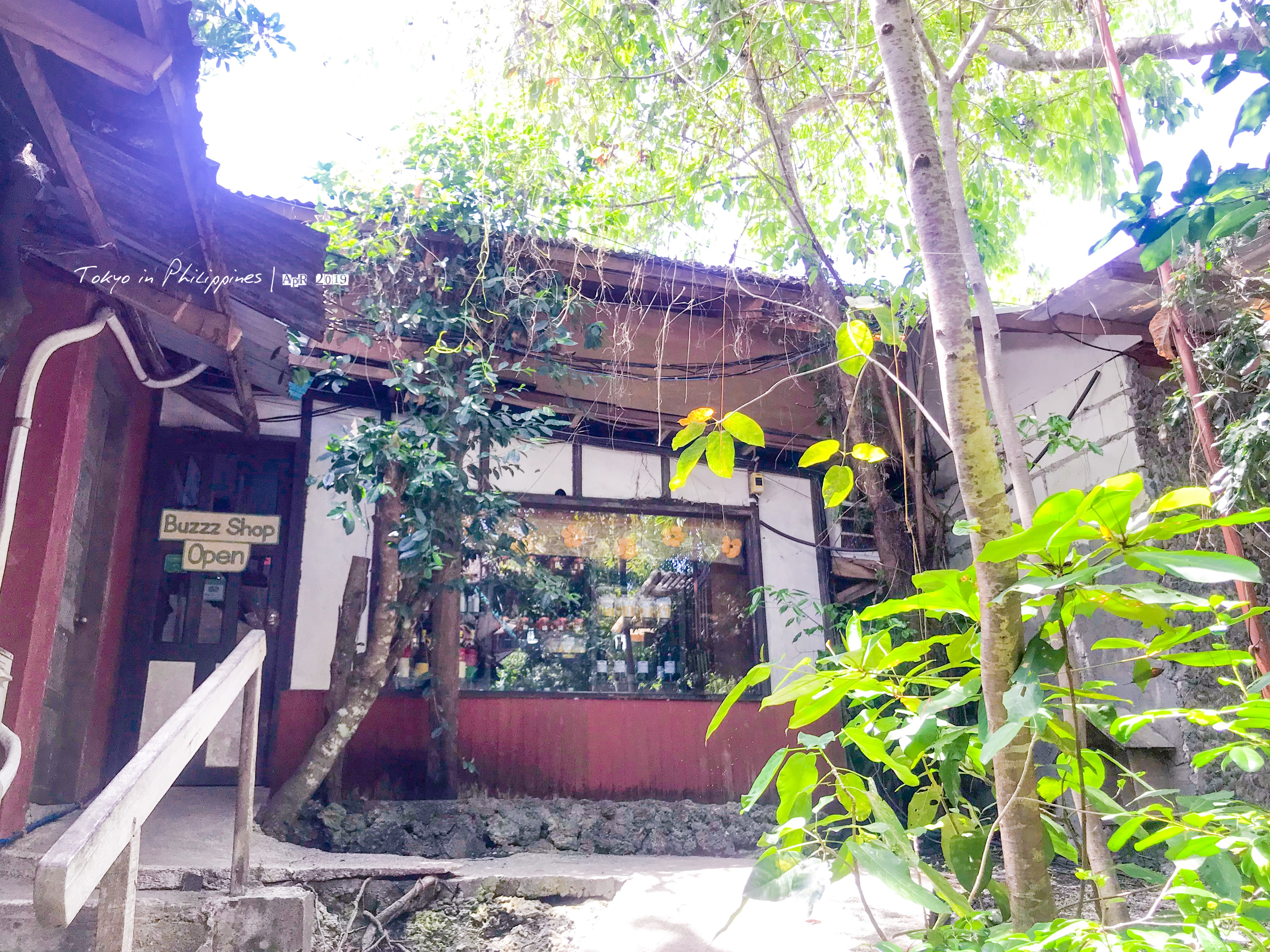 逛吃逛吃的“菲”常假日(宿务岛+薄荷岛+马尼拉乱逛)(完结)