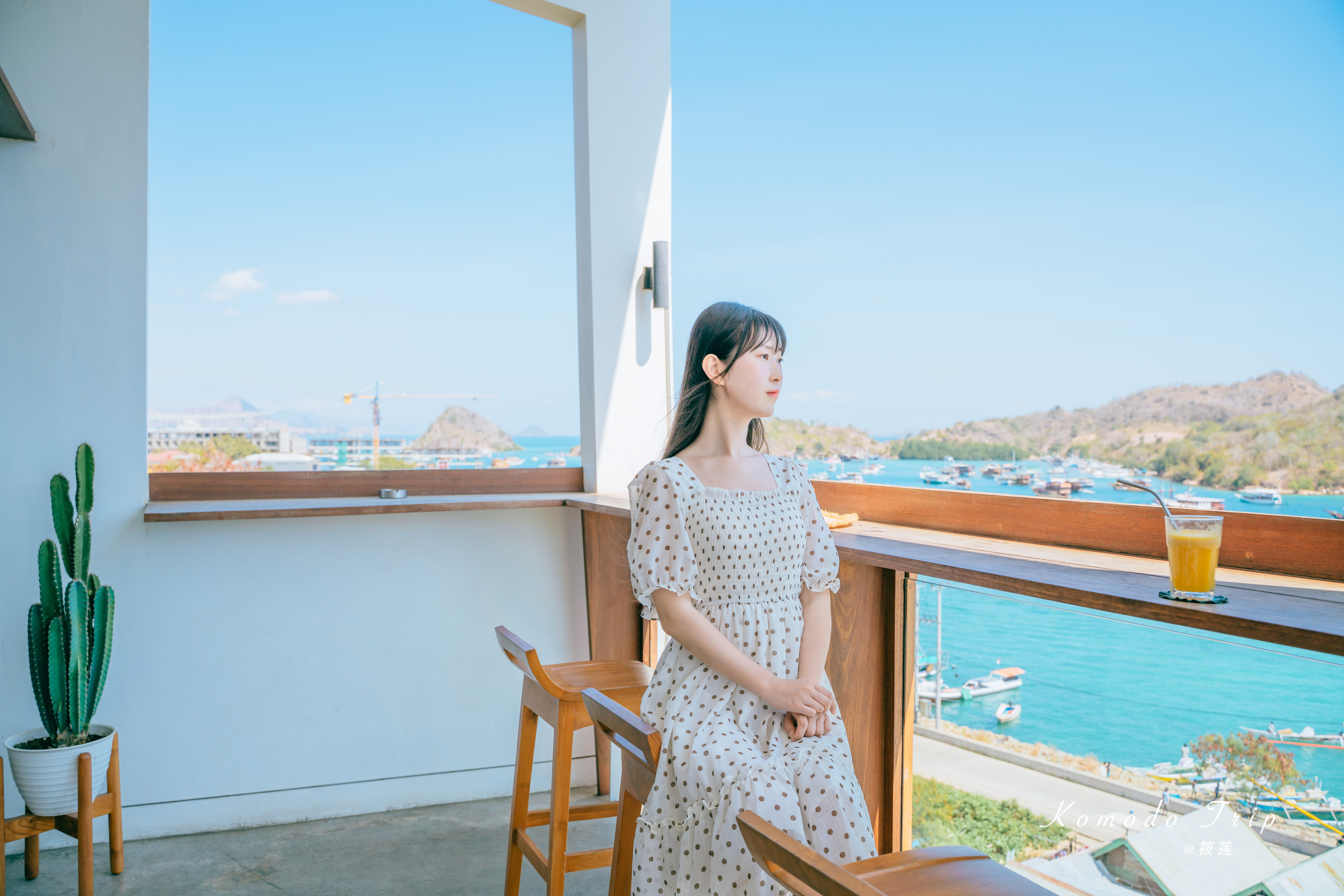 科莫多 | 不止粉沙与巨蜥,它是来自蓝色星球最纯粹的感动