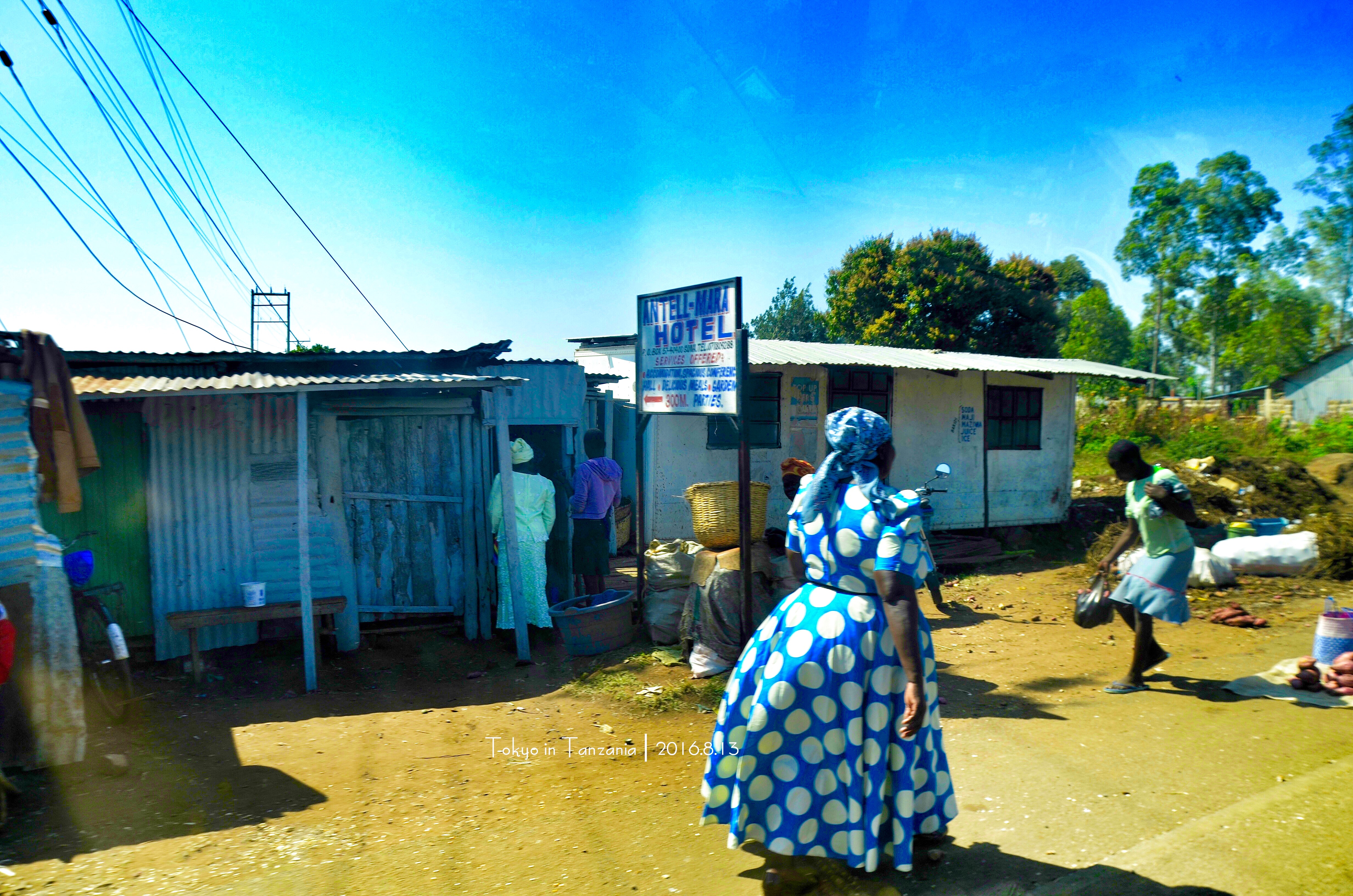 乞力马扎罗的雪——Jambo,Tanzania~(完结)