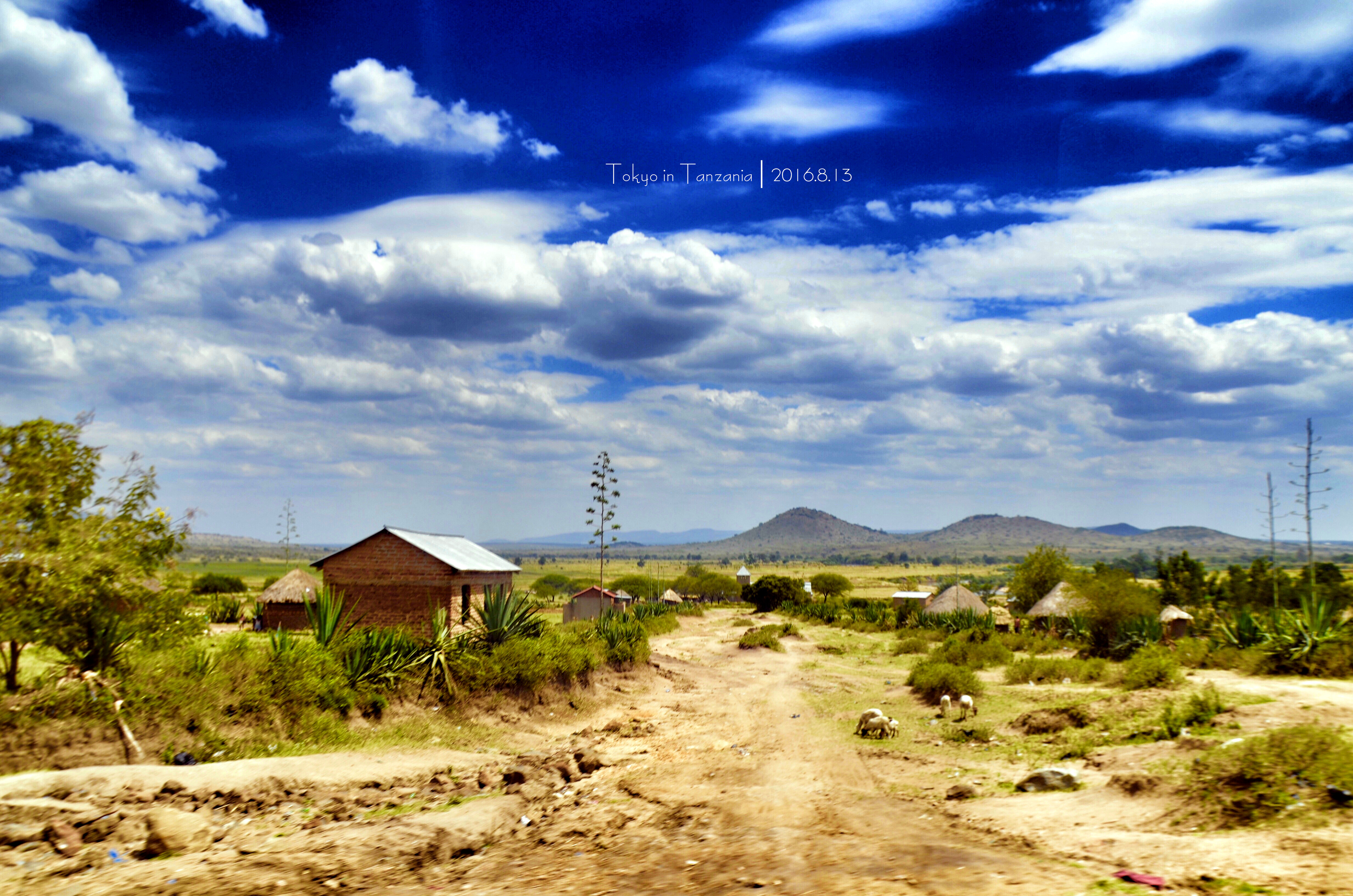 乞力马扎罗的雪——Jambo,Tanzania~(完结)
