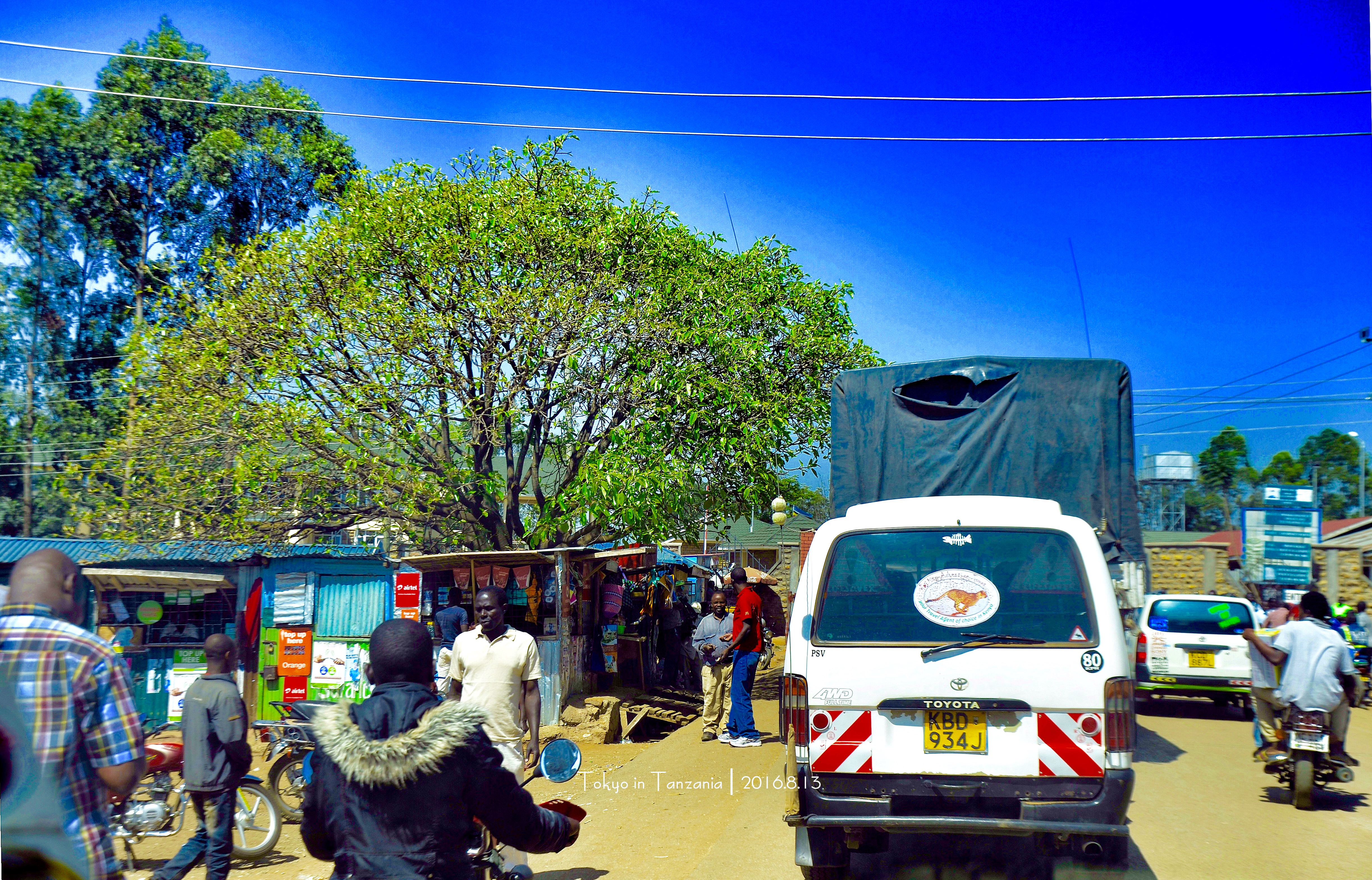 乞力马扎罗的雪——Jambo,Tanzania~(完结)