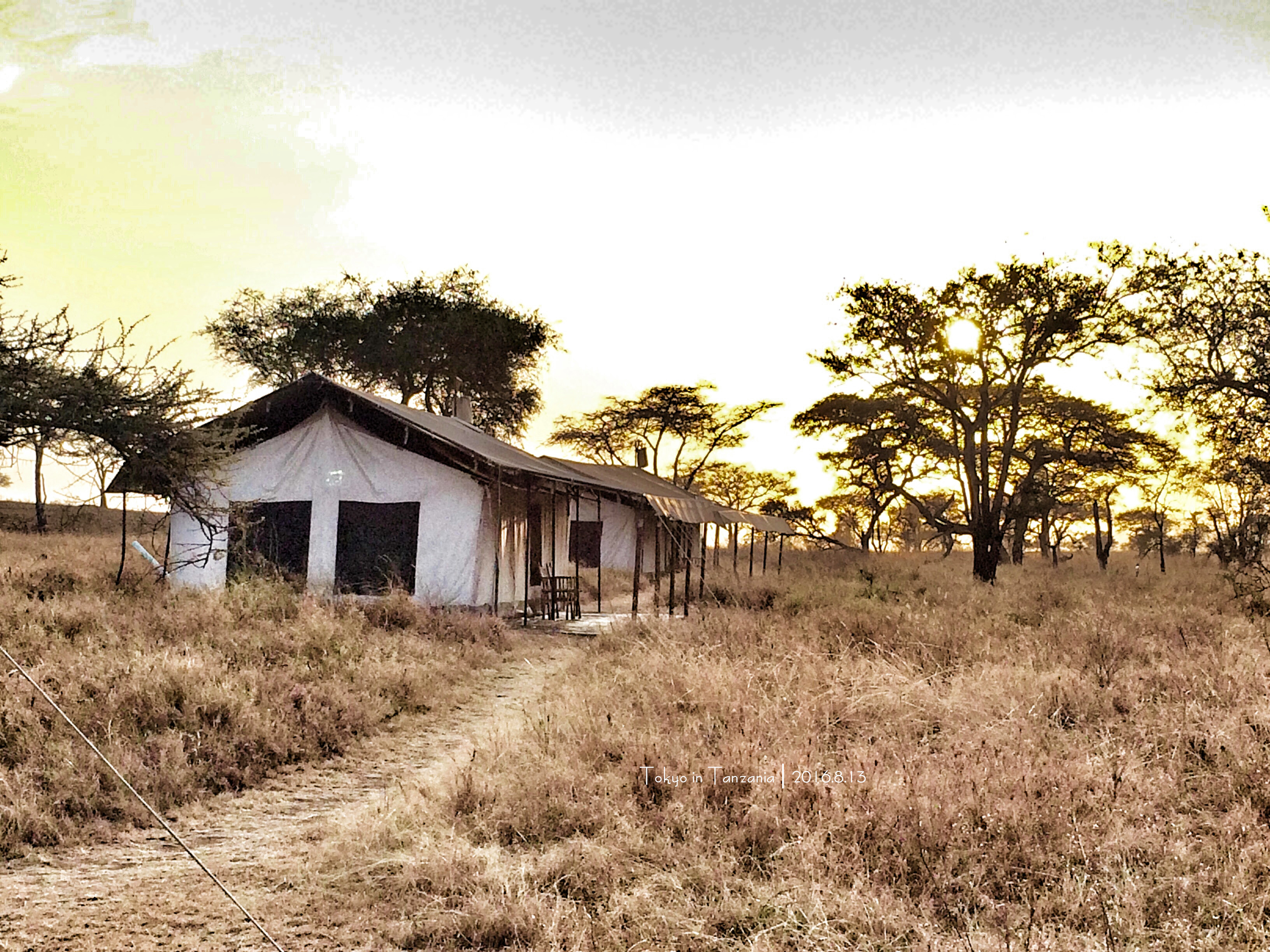 乞力马扎罗的雪——Jambo,Tanzania~(完结)