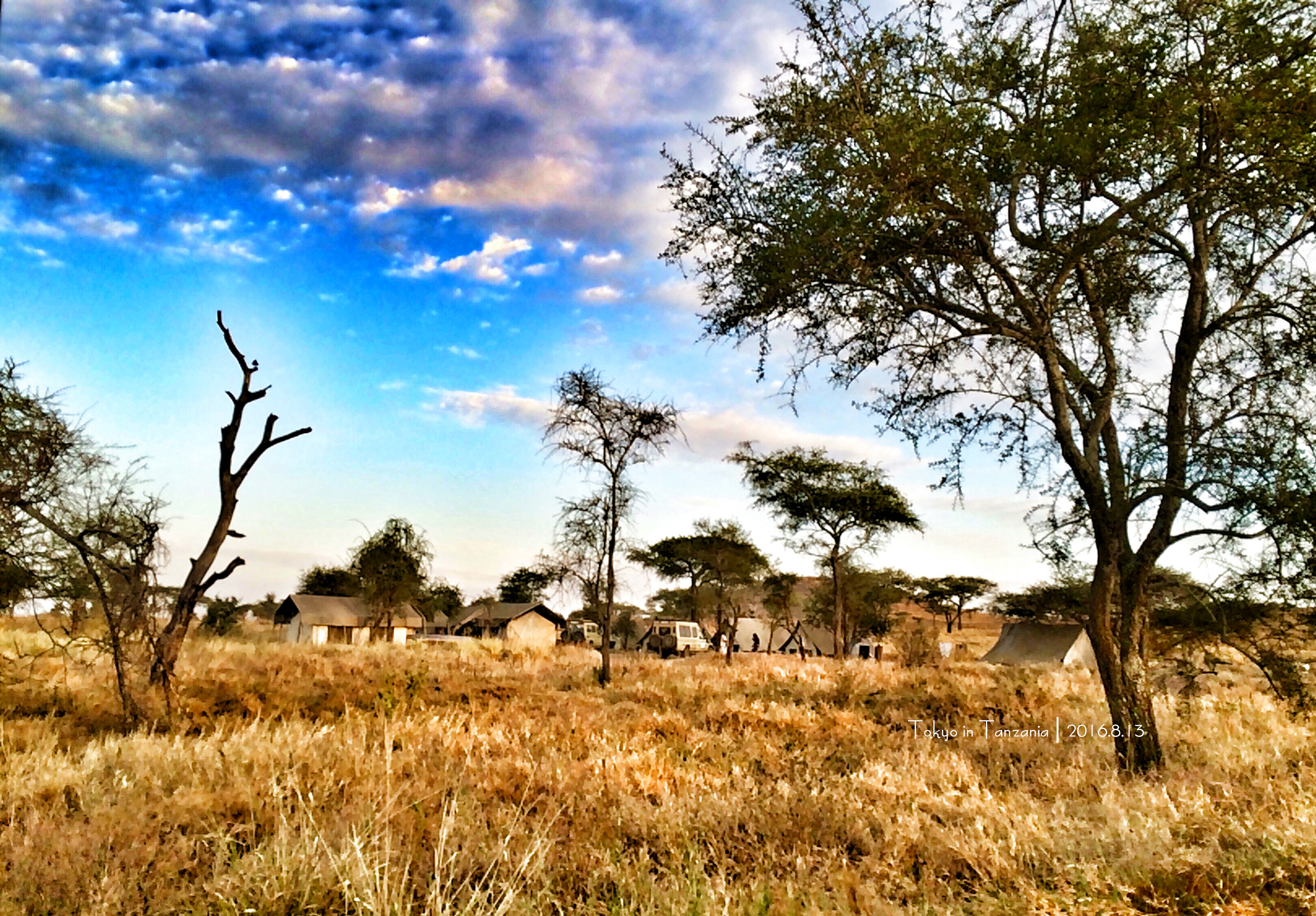 乞力马扎罗的雪——Jambo,Tanzania~(完结)