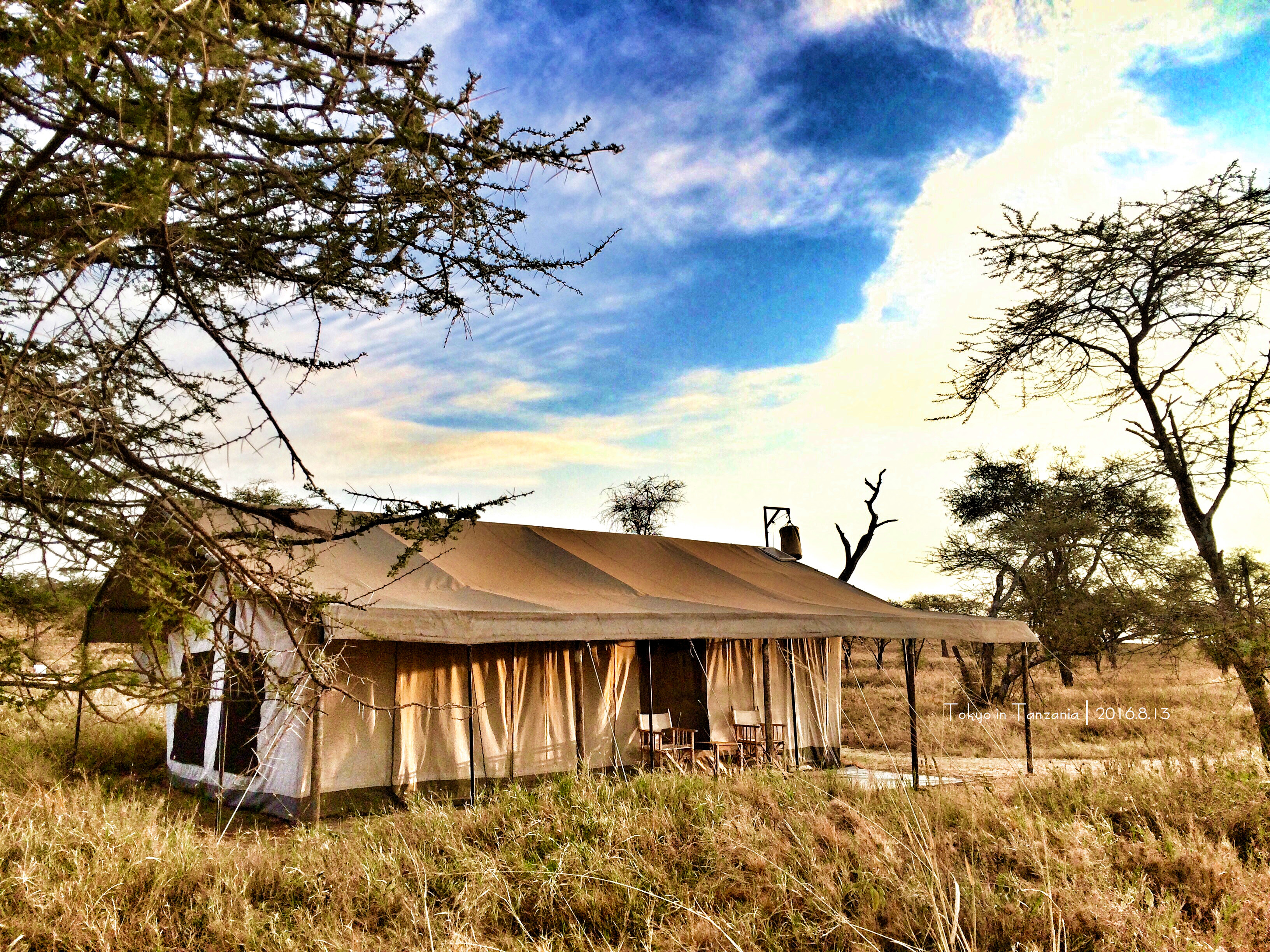 乞力马扎罗的雪——Jambo,Tanzania~(完结)