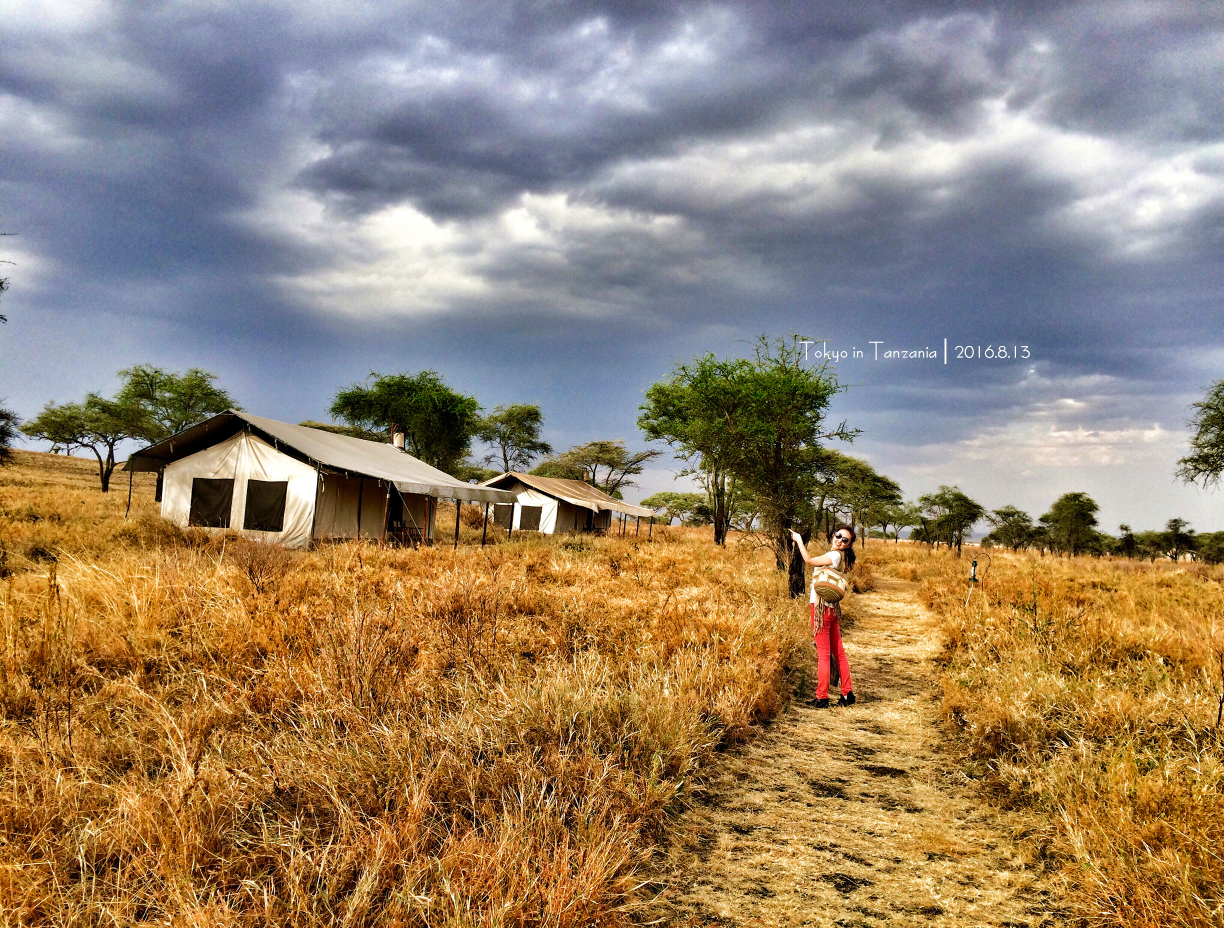 乞力马扎罗的雪——Jambo,Tanzania~(完结)