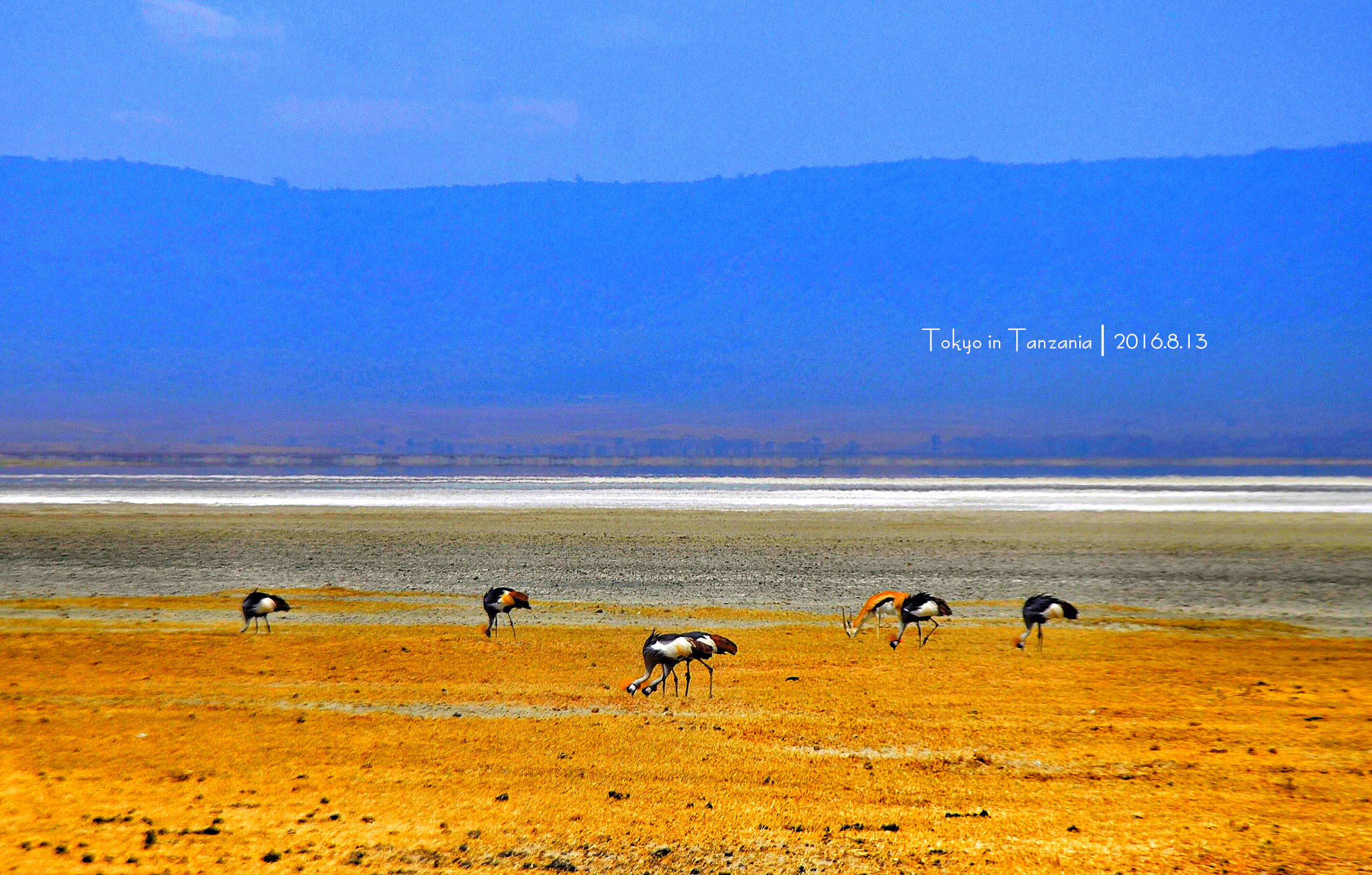 乞力马扎罗的雪——Jambo,Tanzania~(完结)