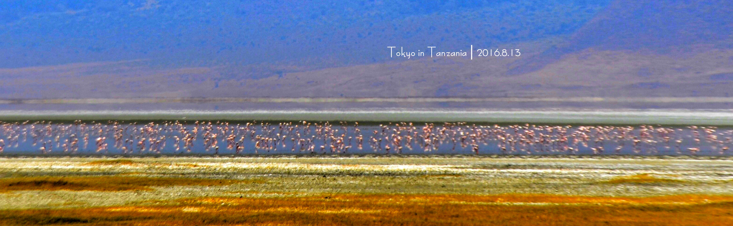 乞力马扎罗的雪——Jambo,Tanzania~(完结)