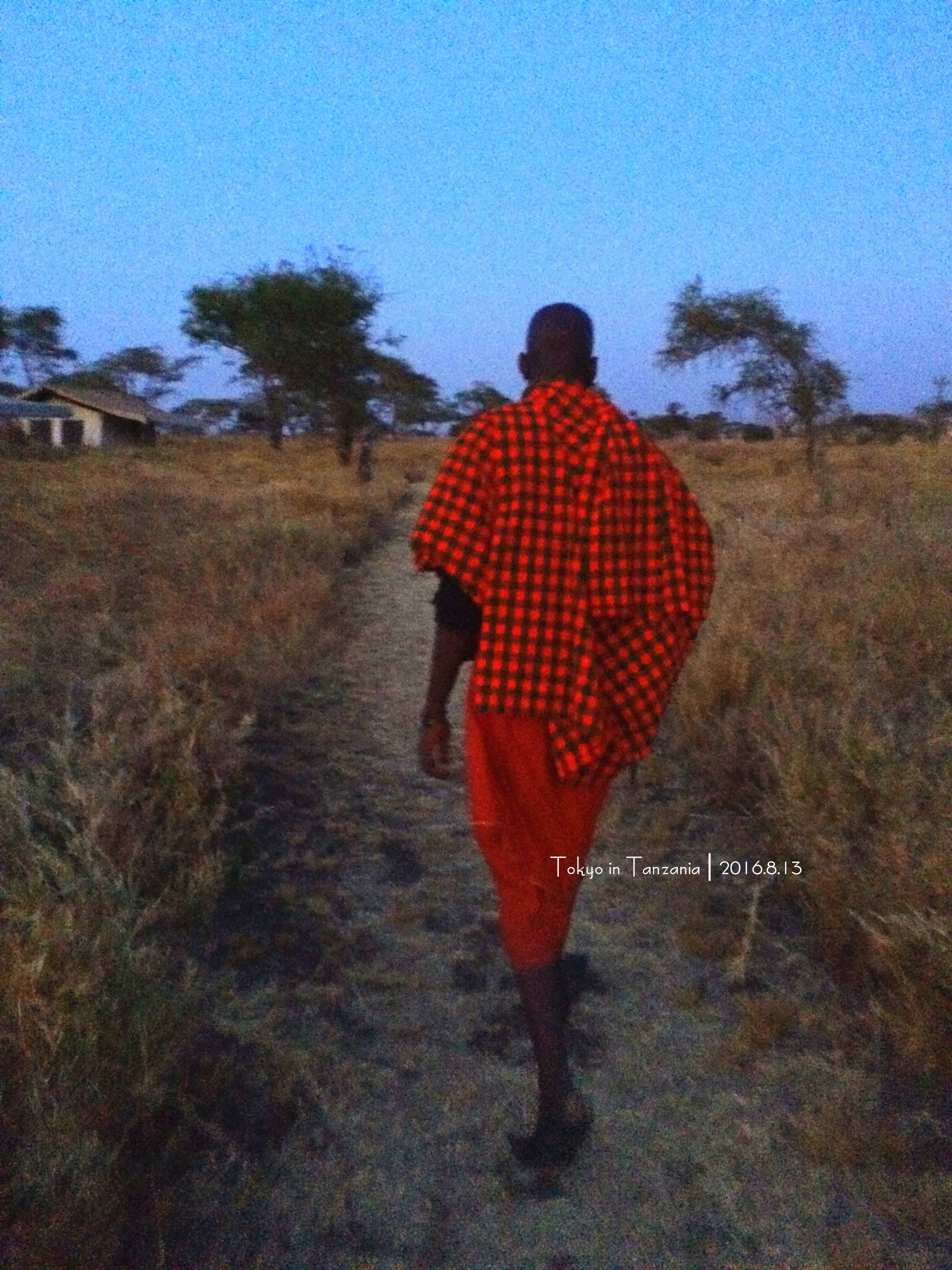 乞力马扎罗的雪——Jambo,Tanzania~(完结)