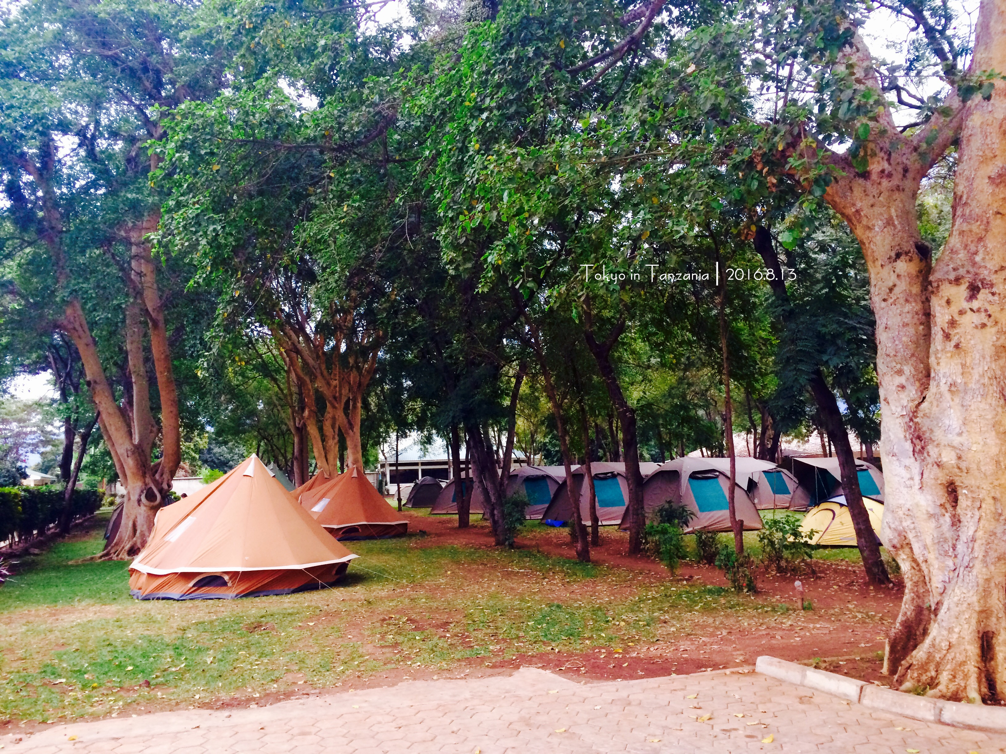 乞力马扎罗的雪——Jambo,Tanzania~(完结)