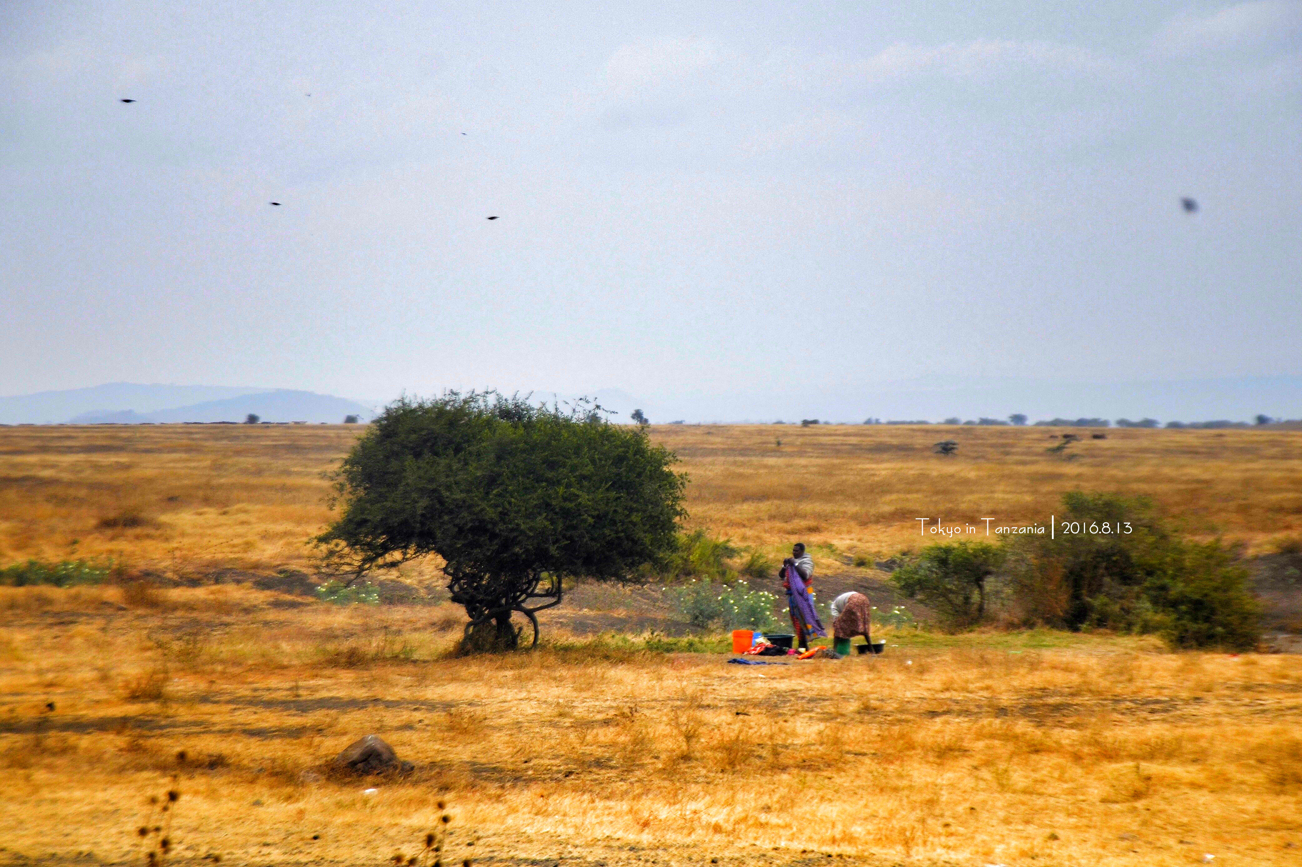 乞力马扎罗的雪——Jambo,Tanzania~(完结)