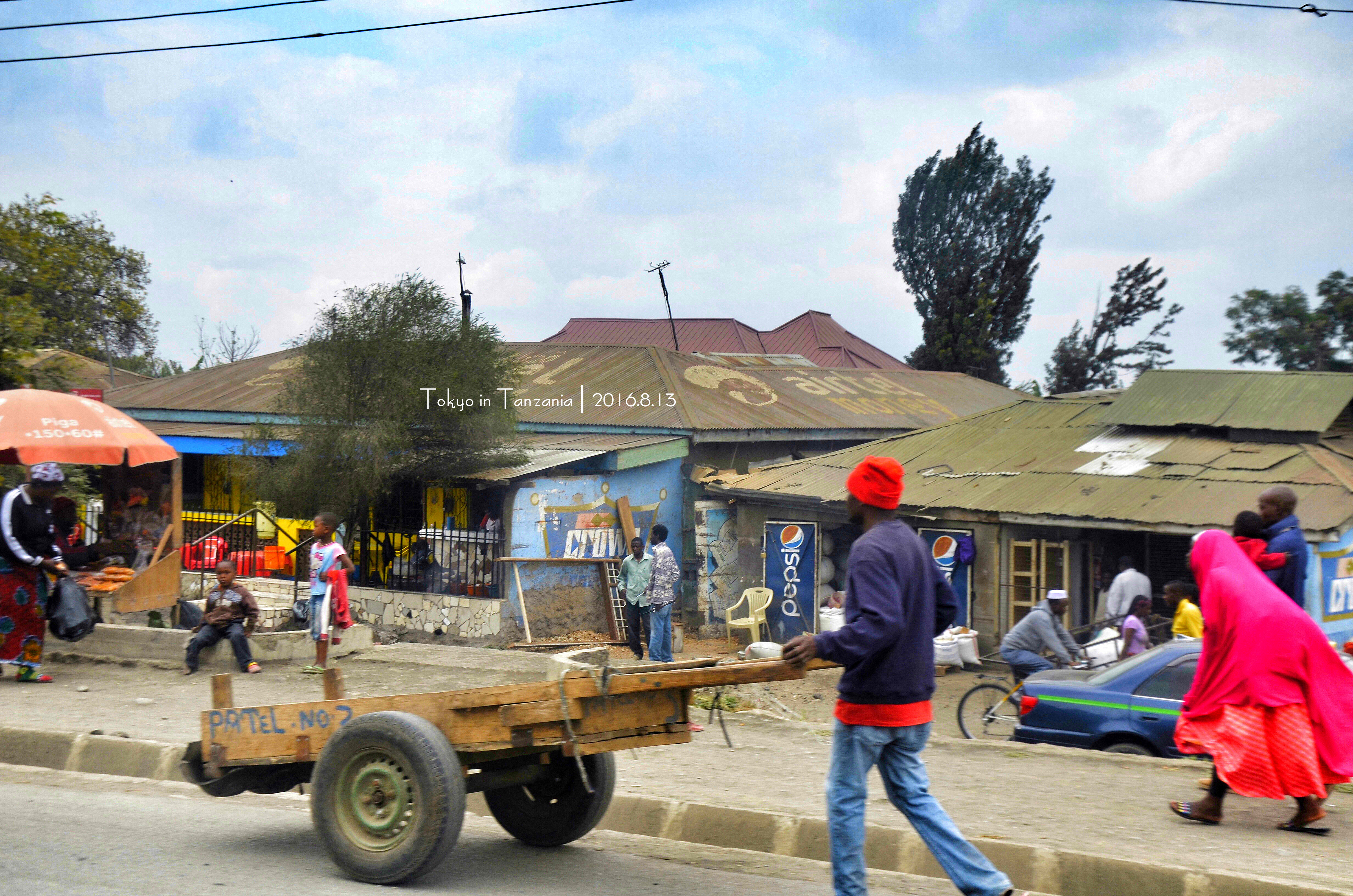 乞力马扎罗的雪——Jambo,Tanzania~(完结)