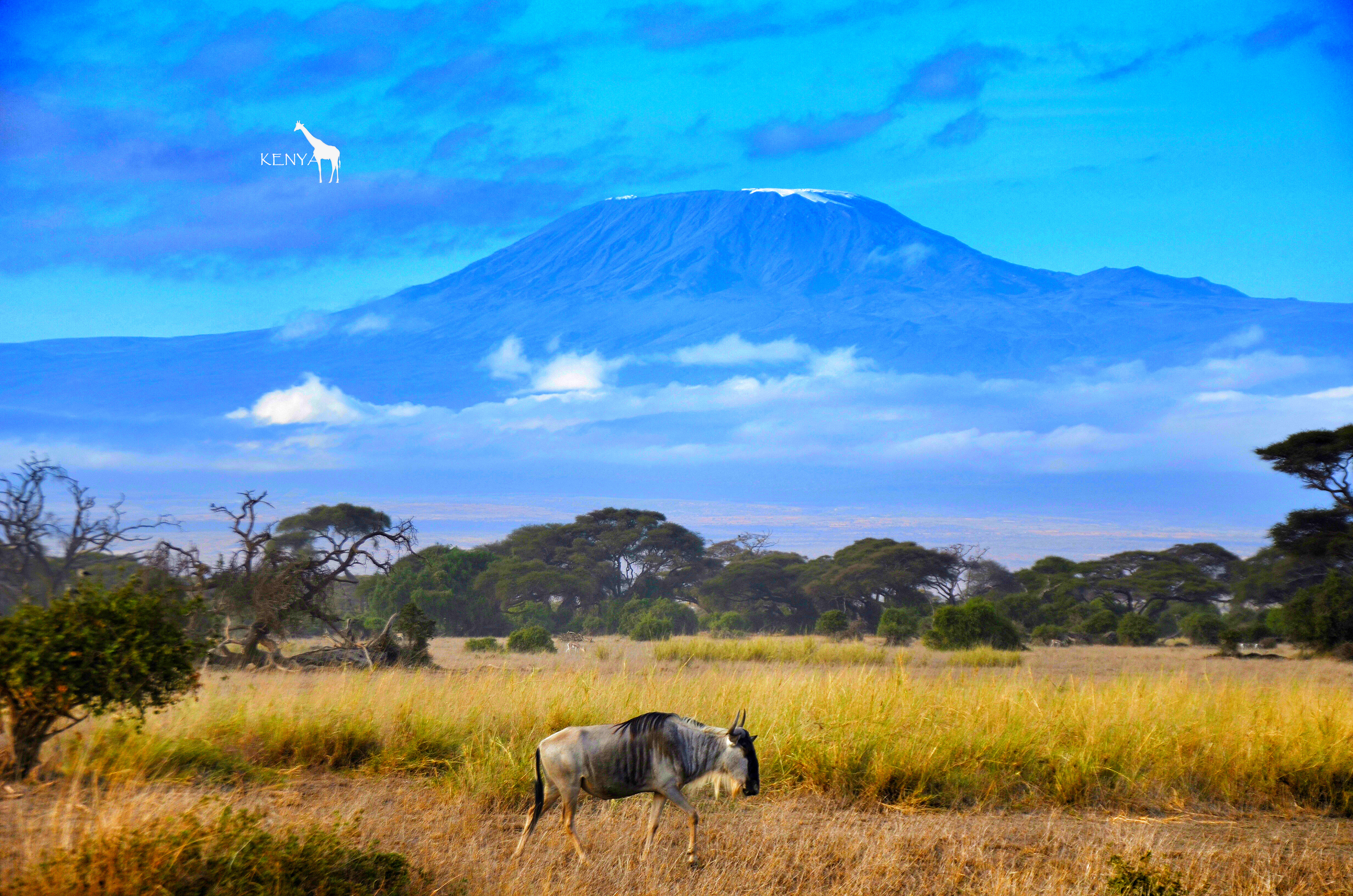 乞力马扎罗的雪——Jambo,Tanzania~(完结)
