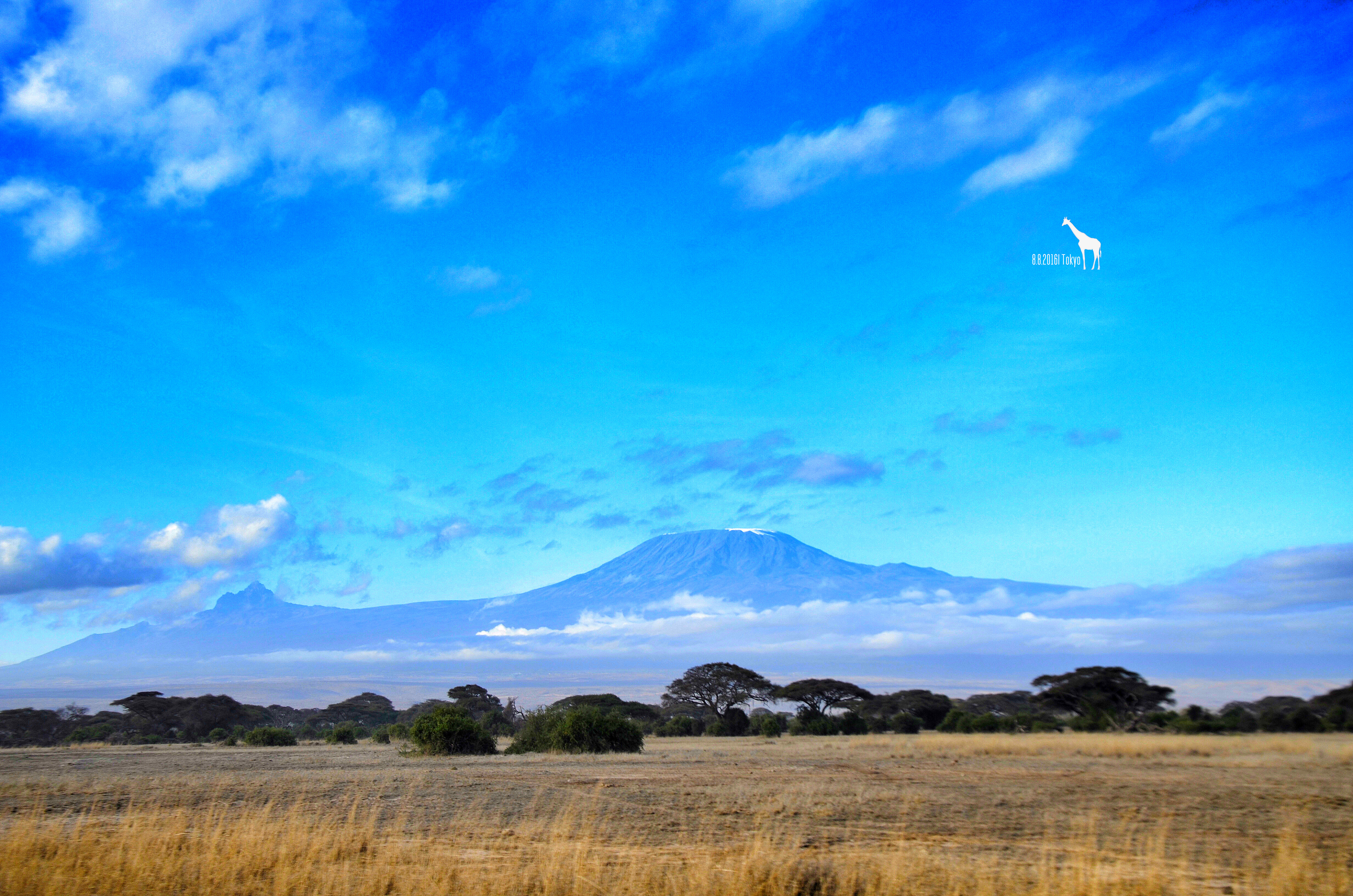 乞力马扎罗的雪——Jambo,Tanzania~(完结)