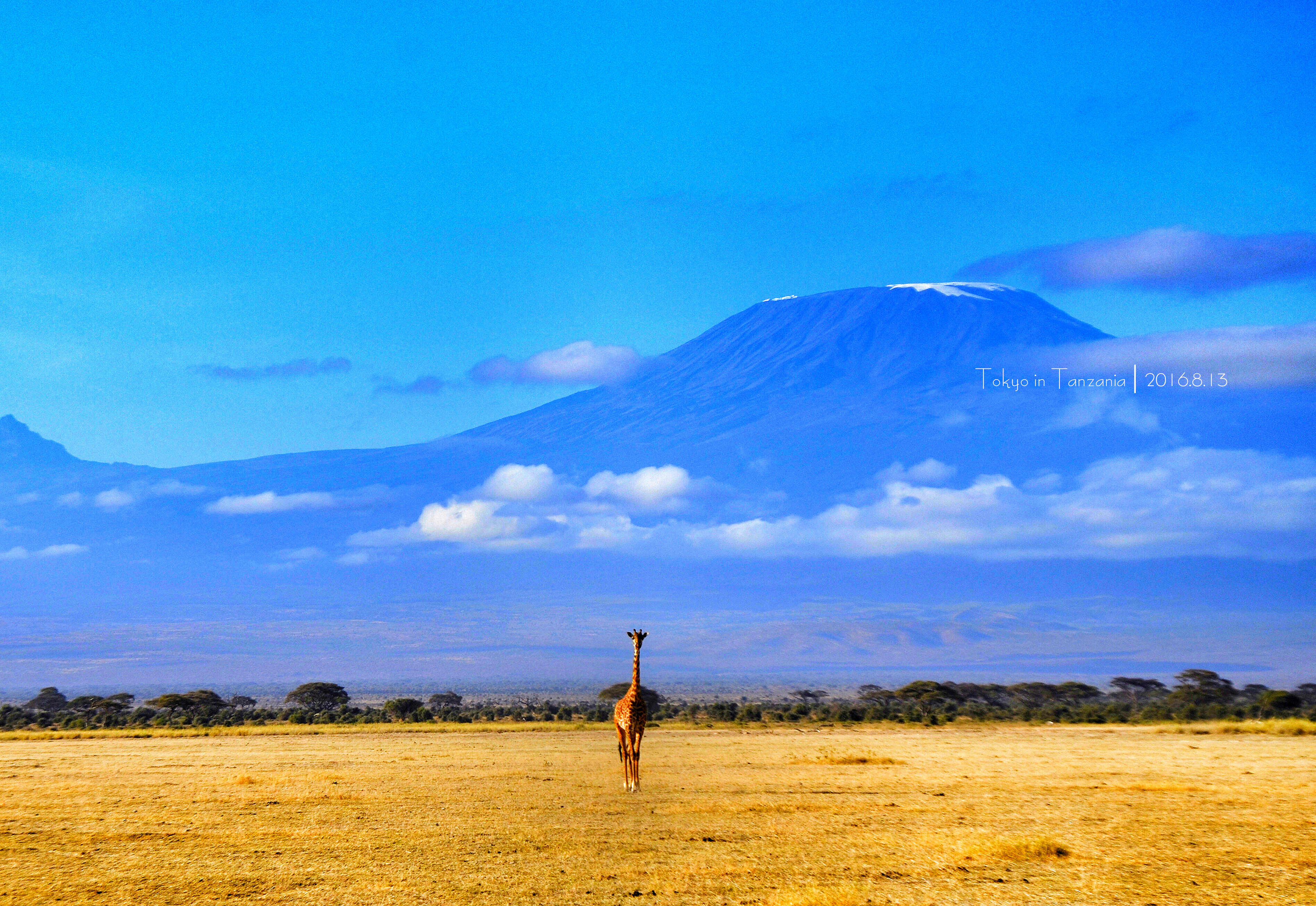 乞力马扎罗的雪——Jambo,Tanzania~(完结)