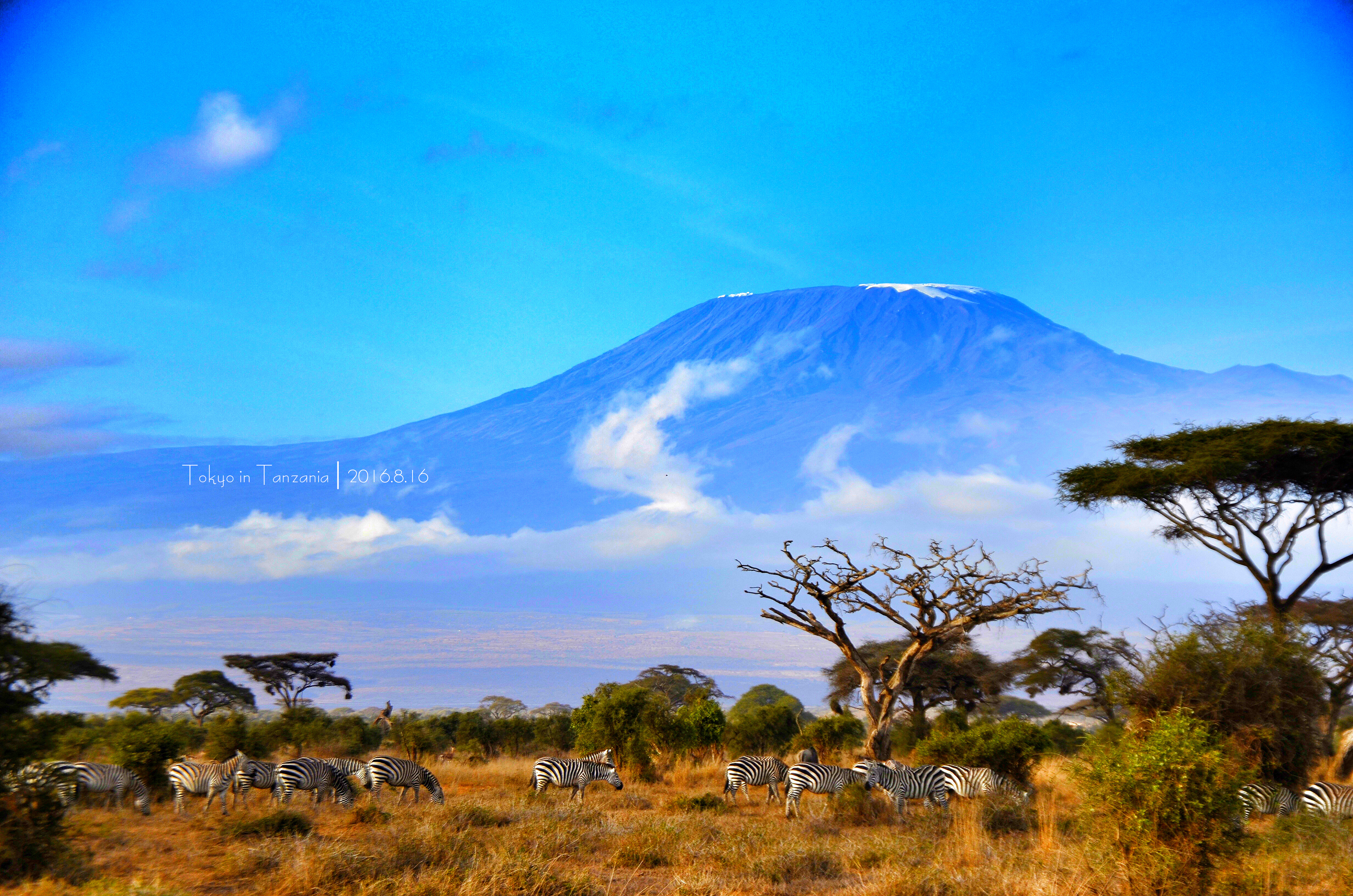 乞力马扎罗的雪——Jambo,Tanzania~(完结)