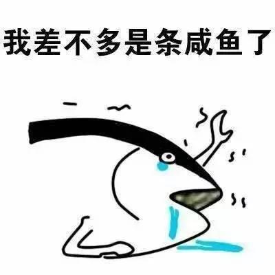马来10日谈,难忘那一场南洋旧梦