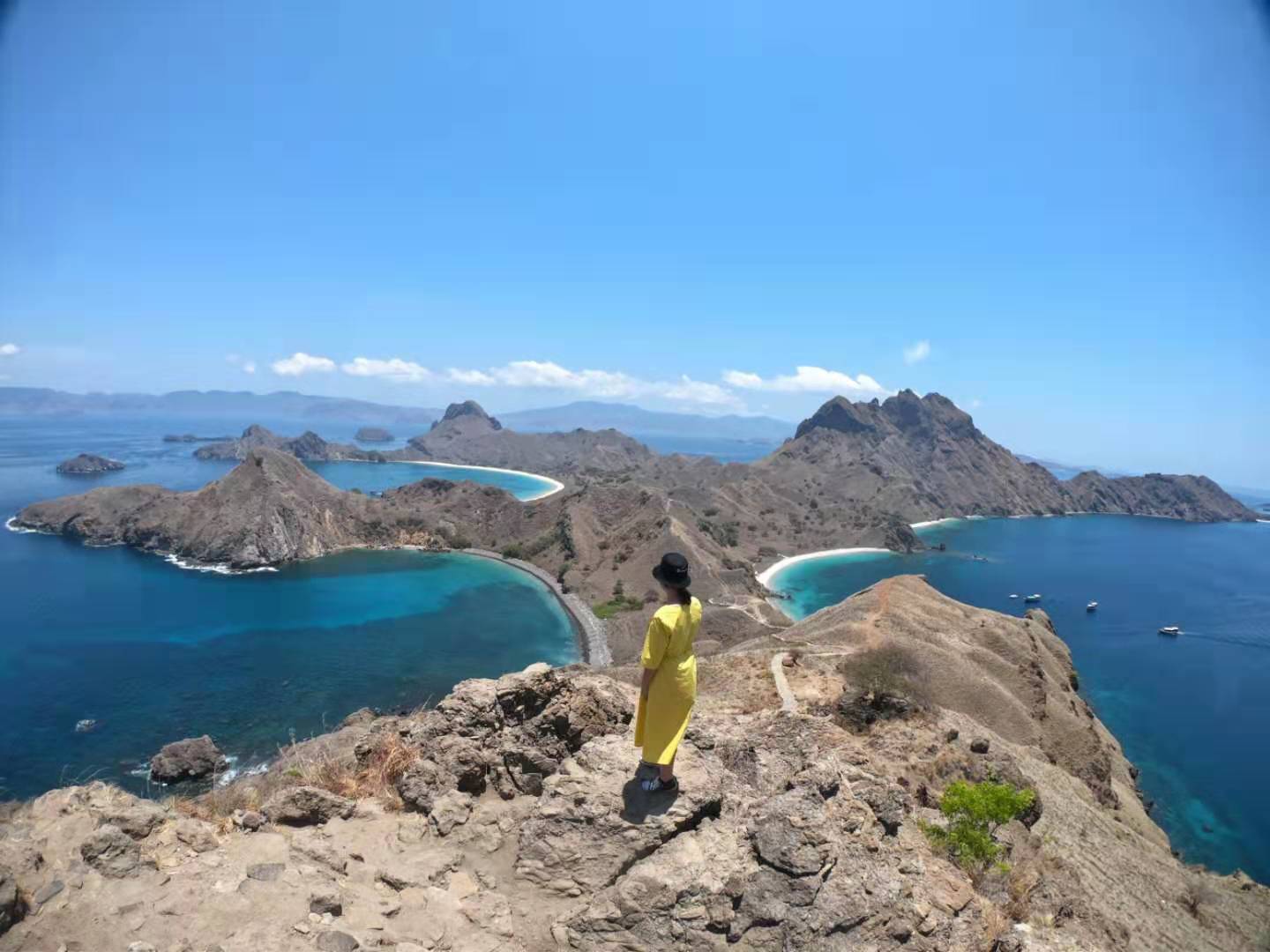 科莫多岛-浪漫粉色沙滩与史前巨兽的邂逅