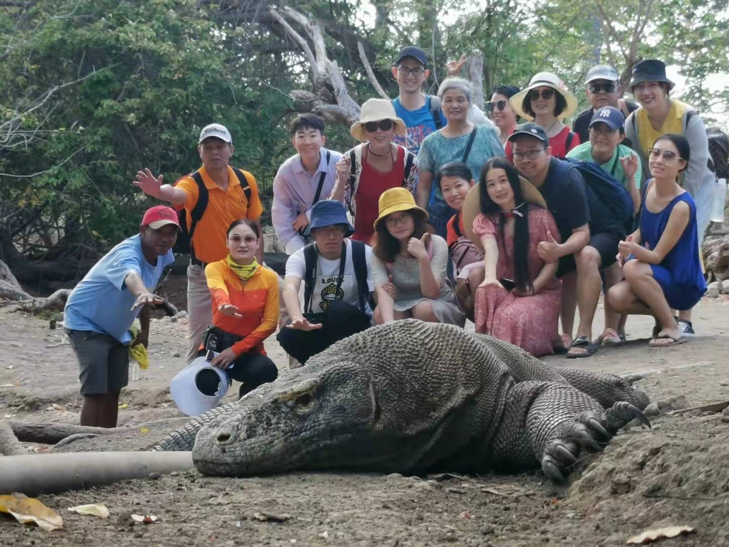 科莫多岛-浪漫粉色沙滩与史前巨兽的邂逅