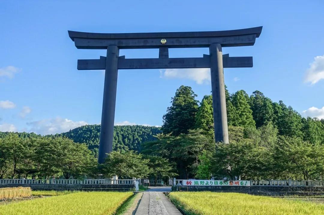 熊野古道--《千与千寻》同款徒步线路,通往心灵秘境的千年朝圣的道路