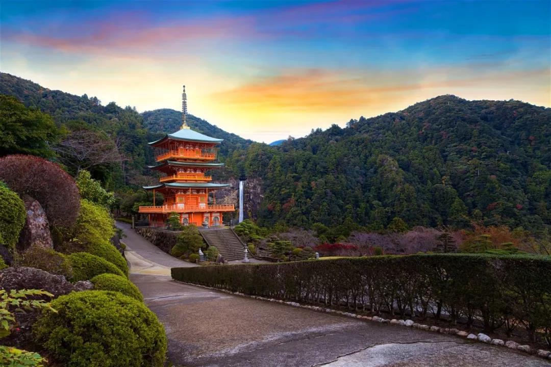 熊野古道--《千与千寻》同款徒步线路,通往心灵秘境的千年朝圣的道路