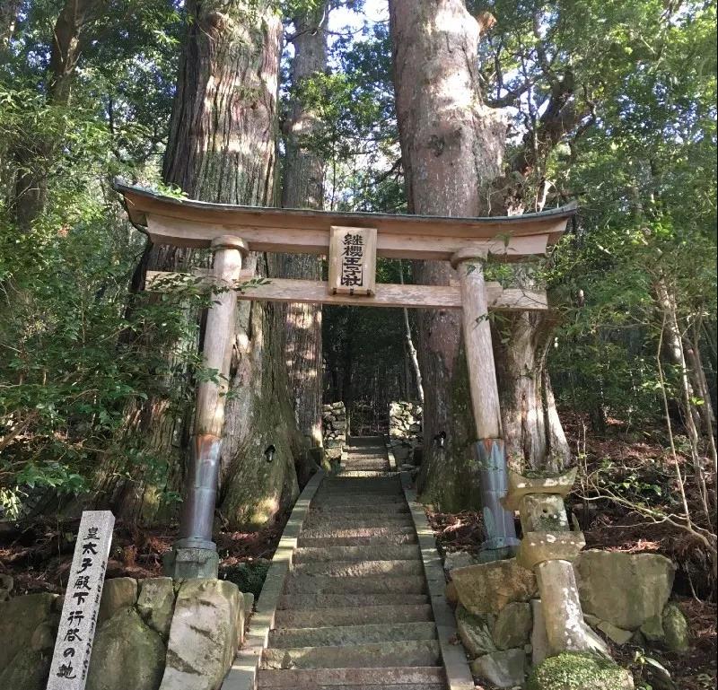 熊野古道--《千与千寻》同款徒步线路,通往心灵秘境的千年朝圣的道路