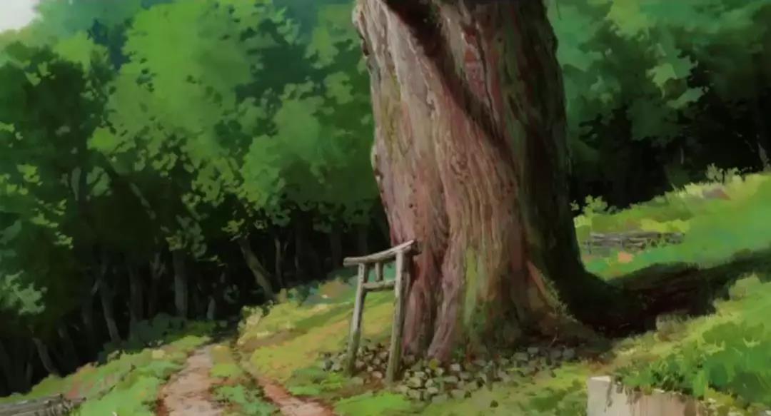 熊野古道--《千与千寻》同款徒步线路,通往心灵秘境的千年朝圣的道路