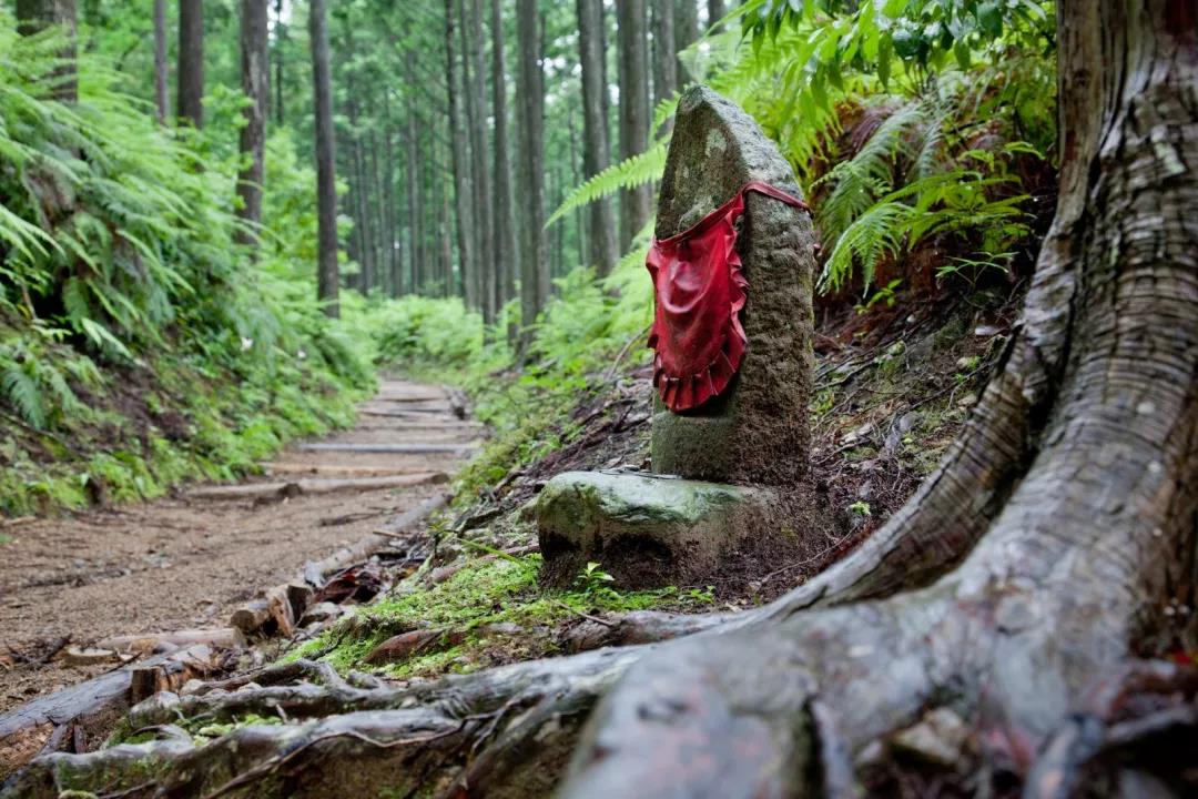 熊野古道--《千与千寻》同款徒步线路,通往心灵秘境的千年朝圣的道路