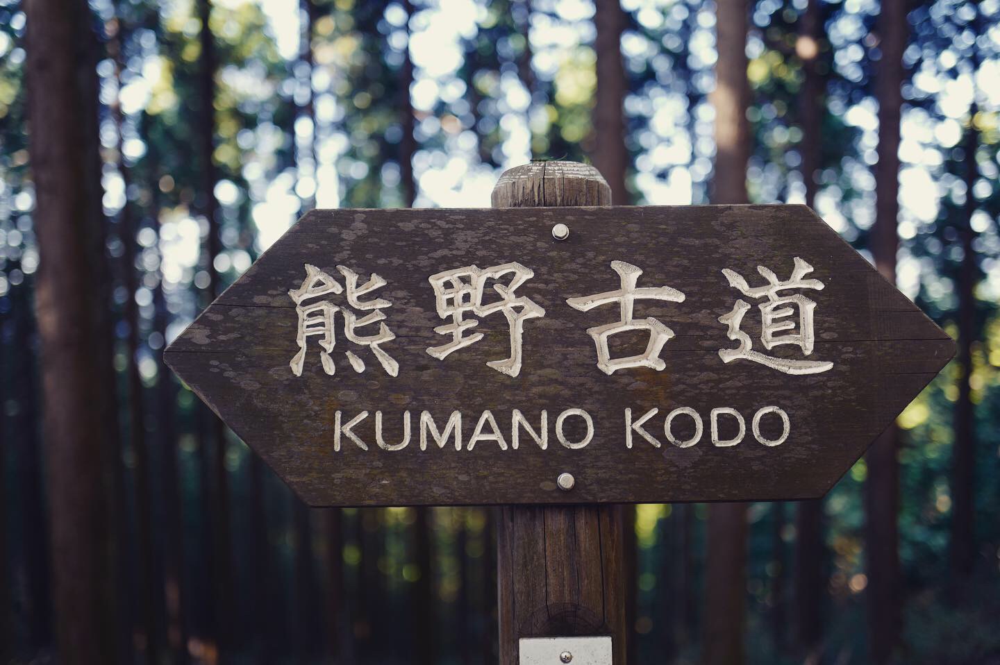 熊野古道--《千与千寻》同款徒步线路,通往心灵秘境的千年朝圣的道路