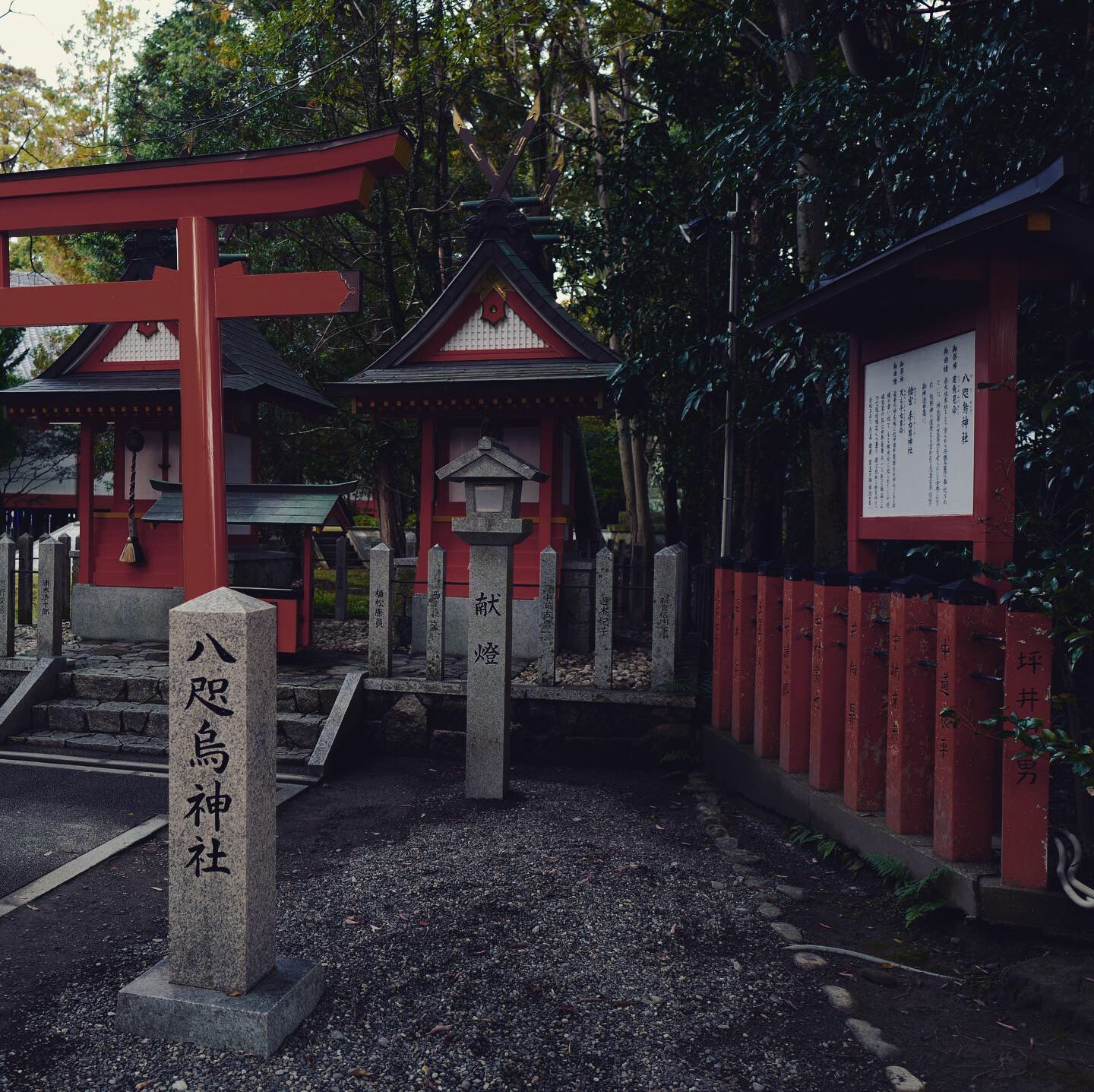 熊野古道--《千与千寻》同款徒步线路,通往心灵秘境的千年朝圣的道路
